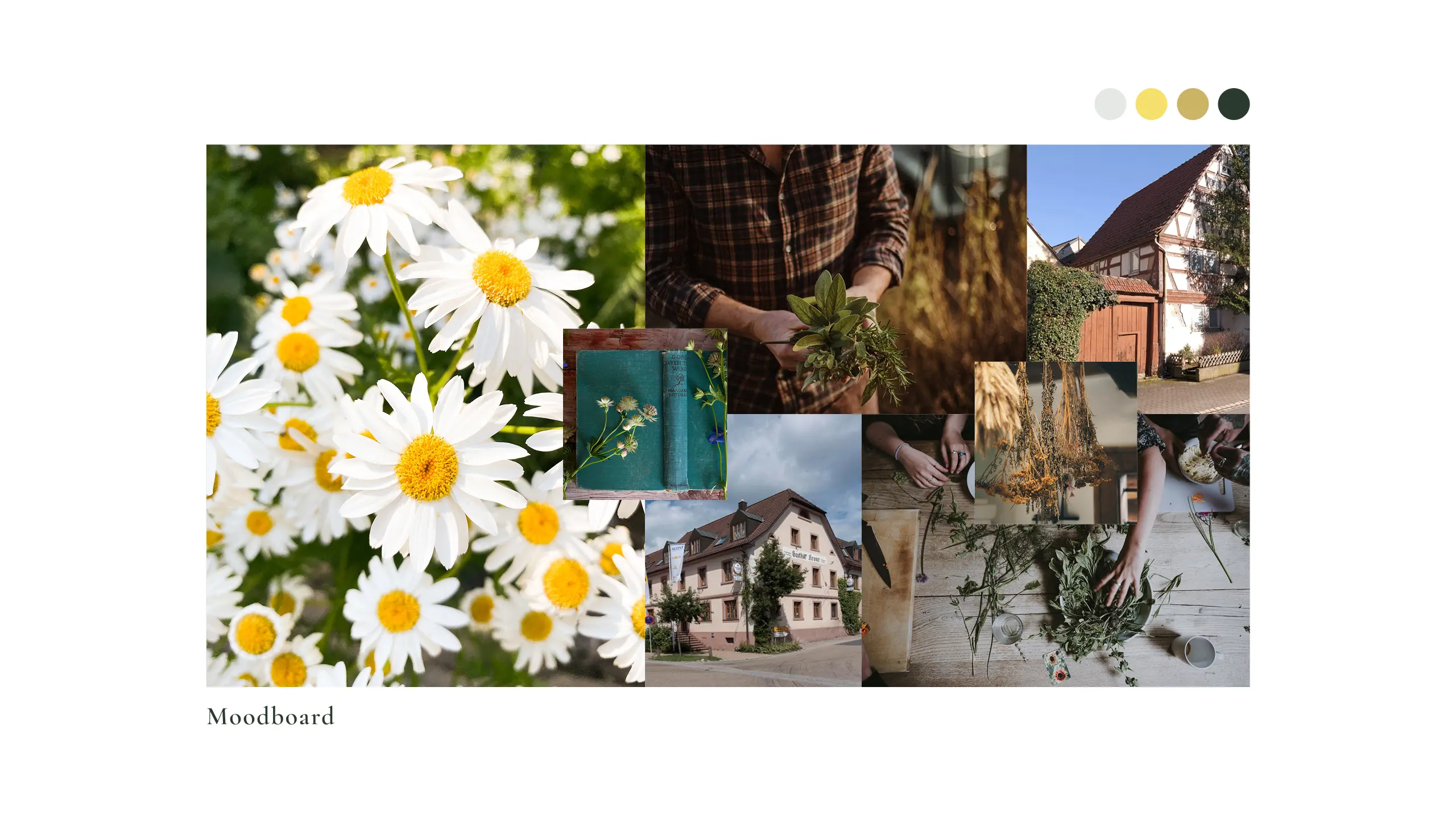 Moodboard-Collage mit Fotos, Farben und Texturen der Markenwelt, beschriftet „Moodboard“