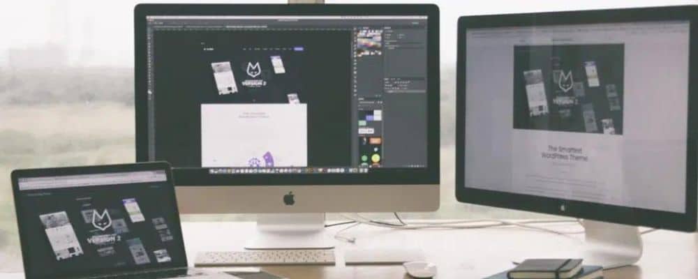 Black, White, and Light Gray