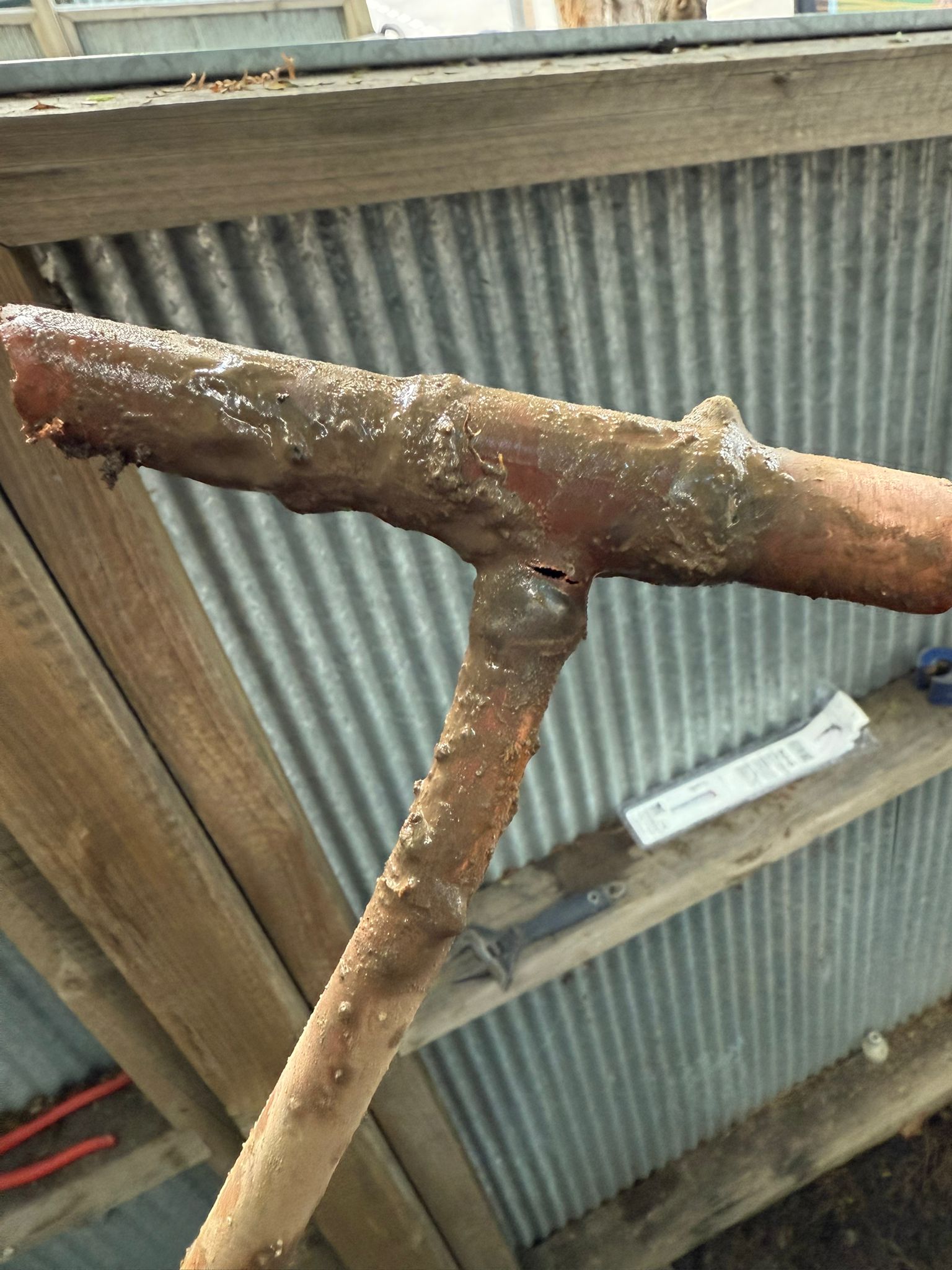 Pipe Repair