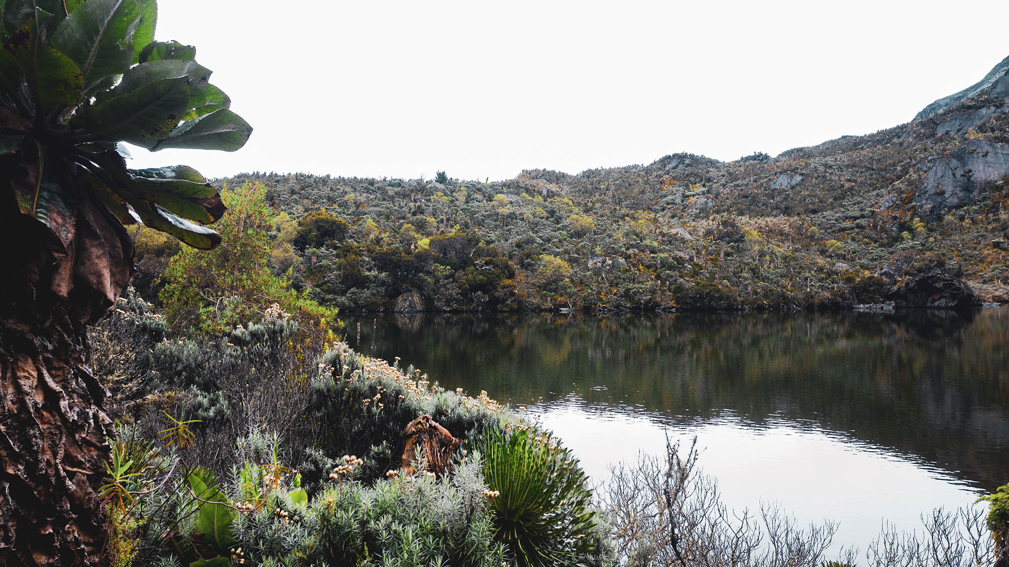 Water Catchment in the Rwenzoris