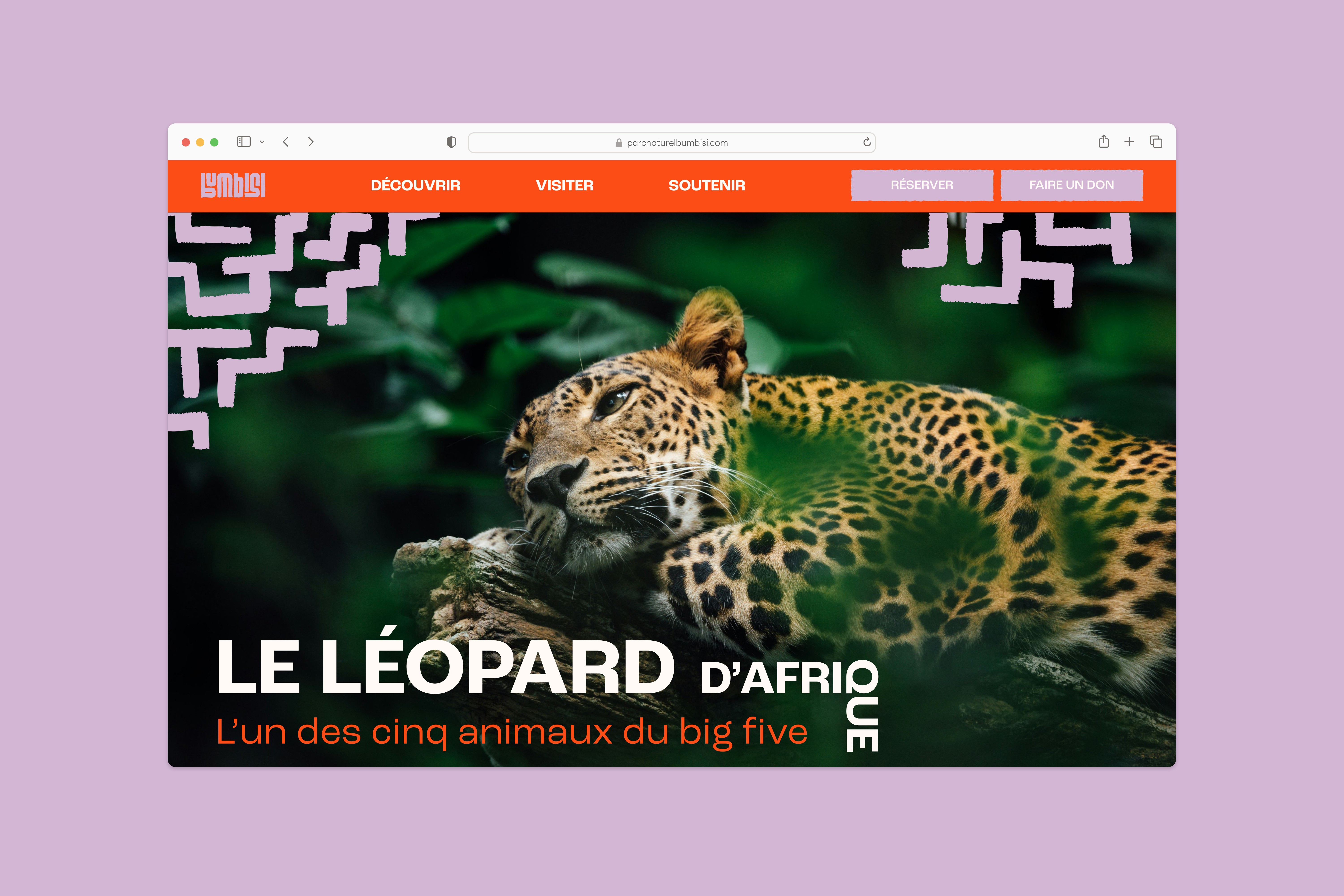 Page sur léopard sur le site