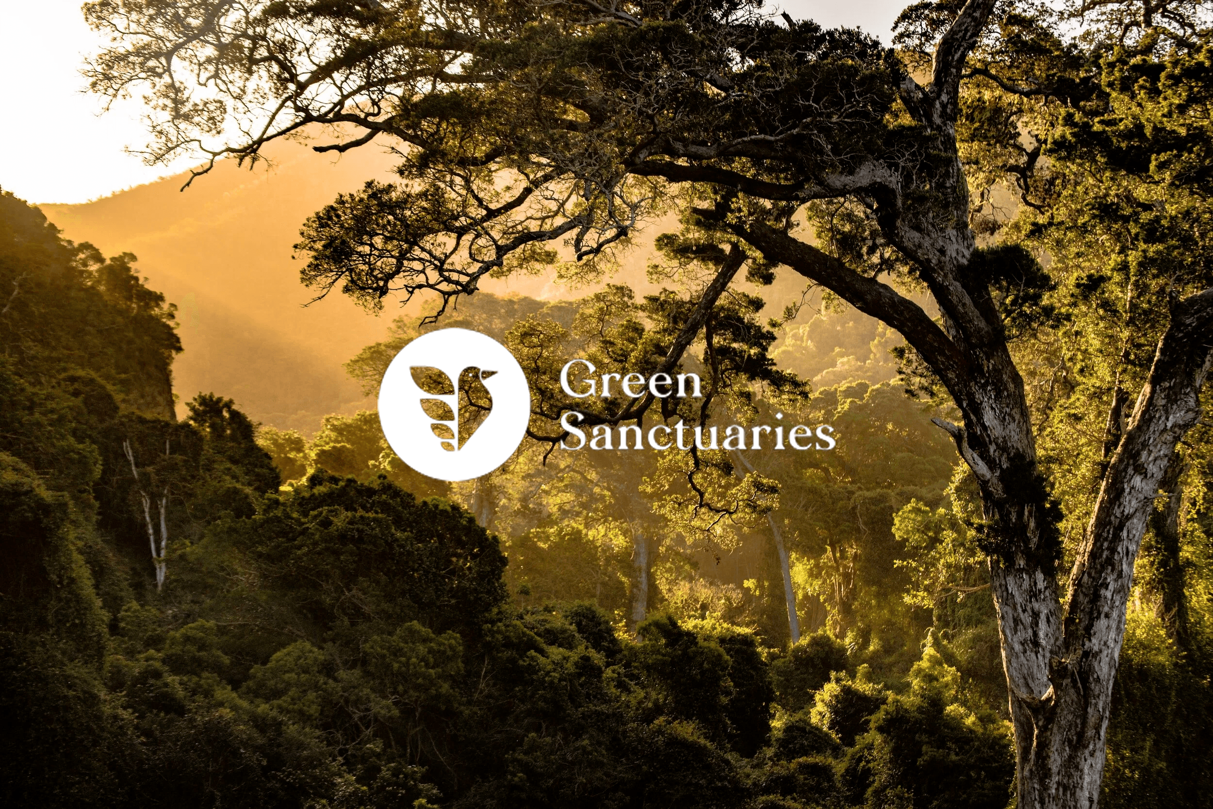 green sanctuaris, mécénat de Retail NEXT.AI