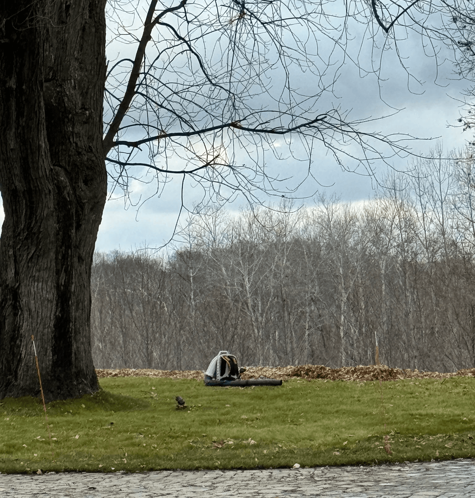Seasonal clean-ups