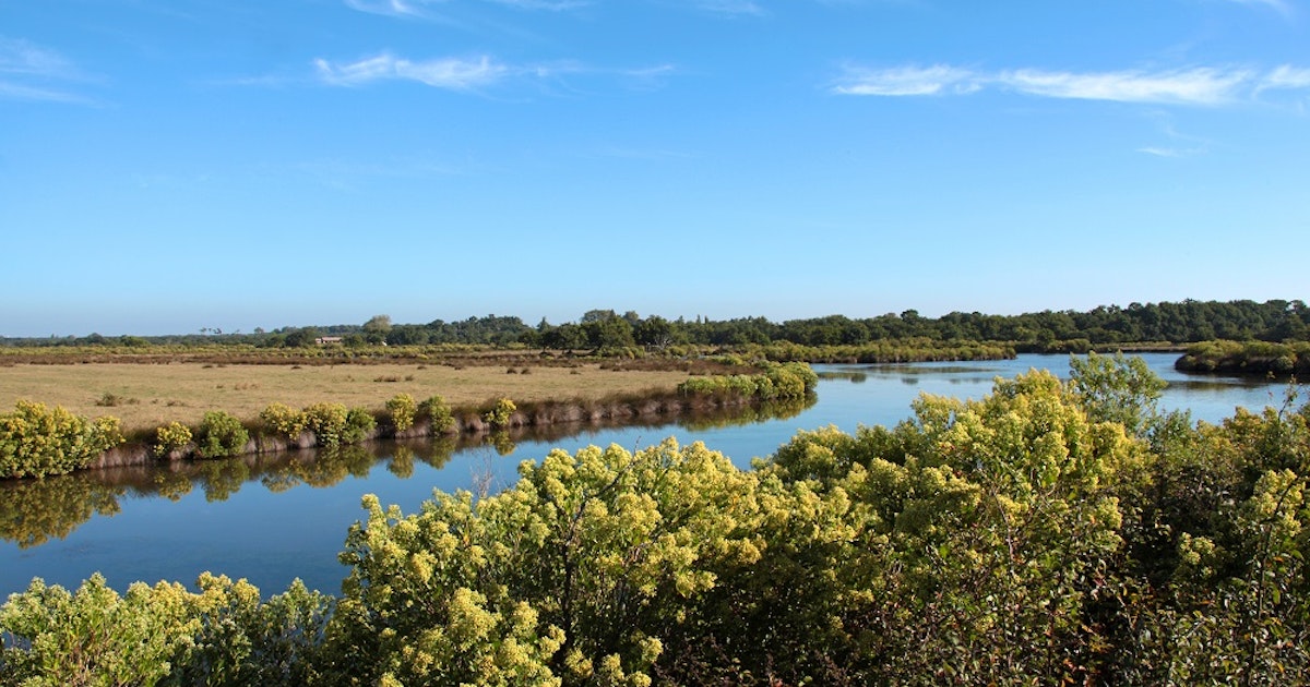 Le Domaine de Certes et Graveyron