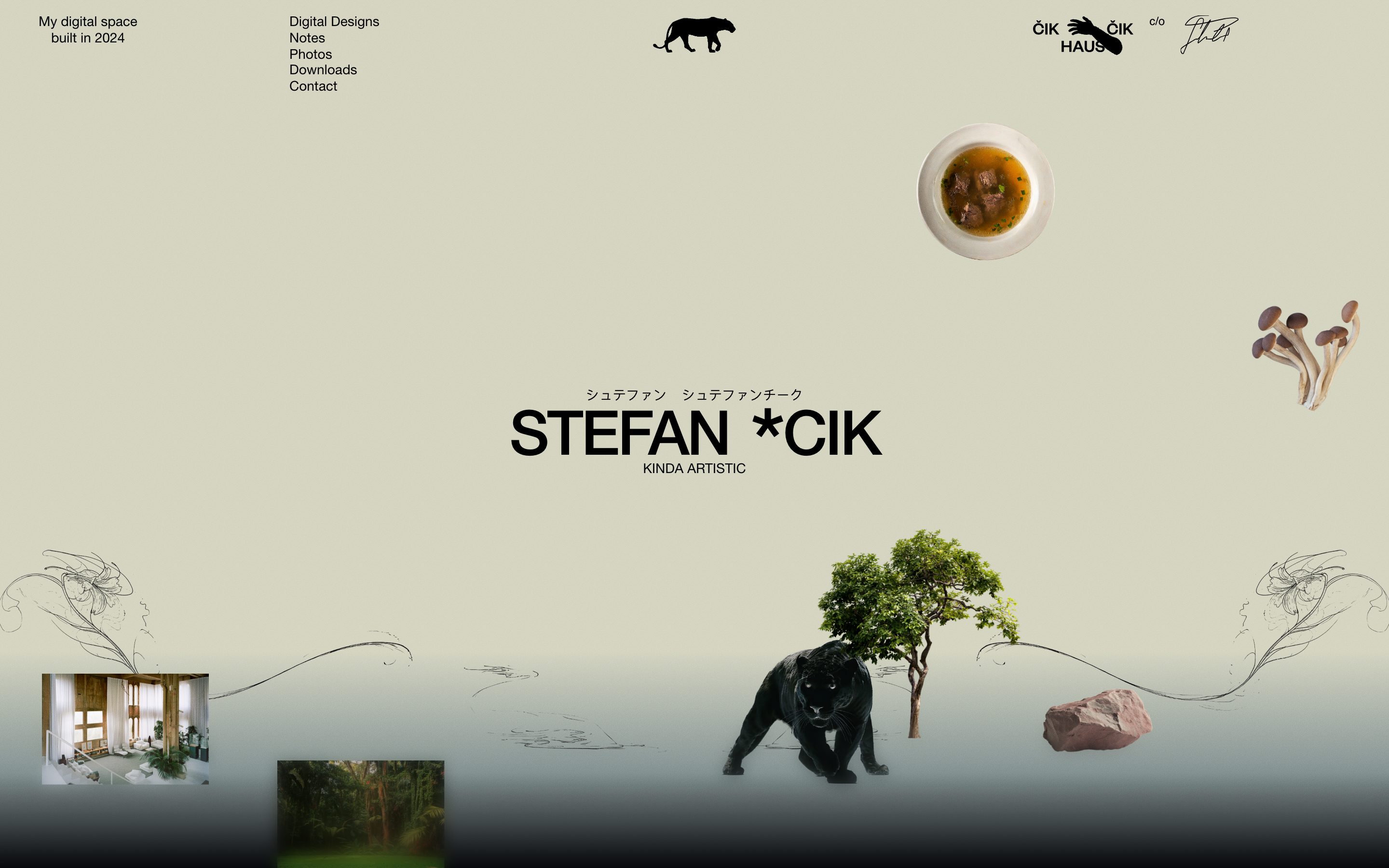 Stefan Stefancik live website screenshot