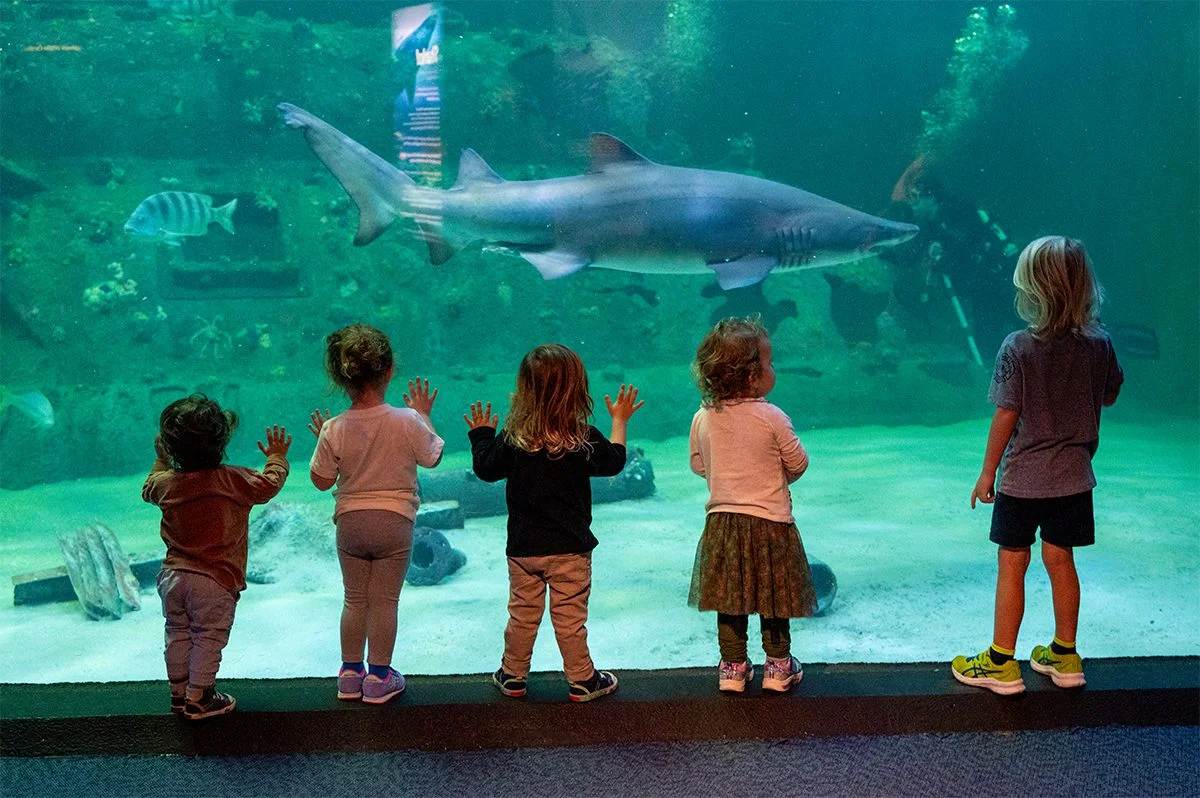 North Carolina Aquariums