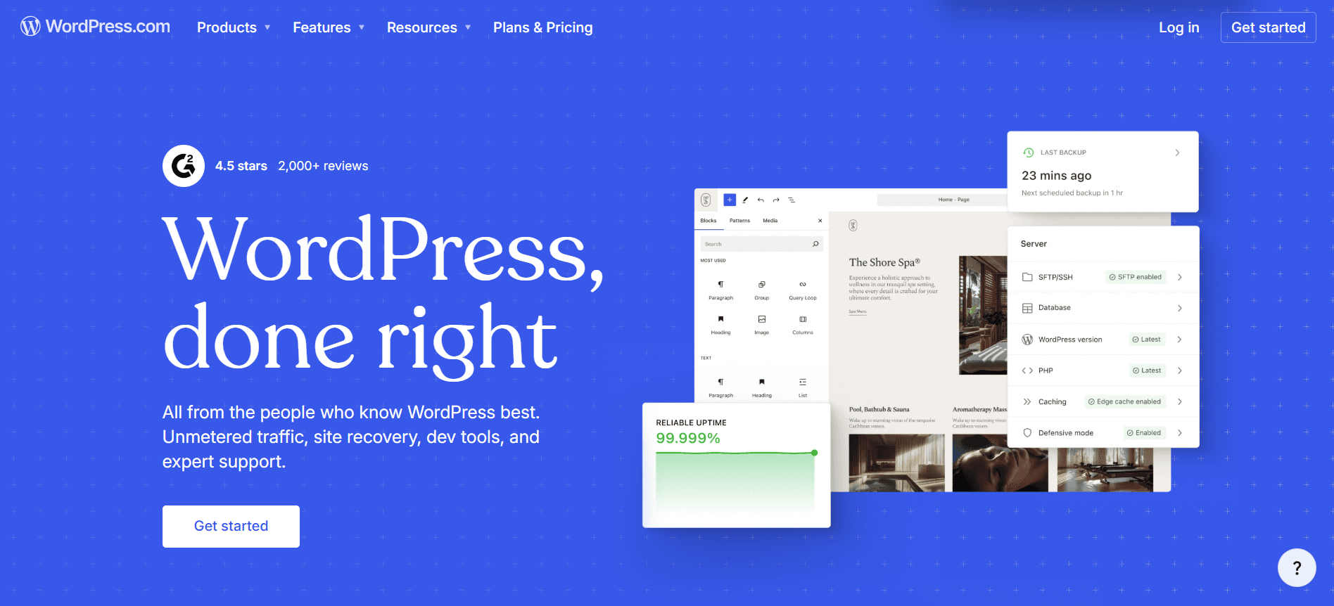 WordPress no code website builder