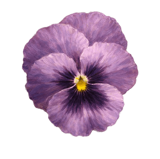 Grafisch element van een bloem
