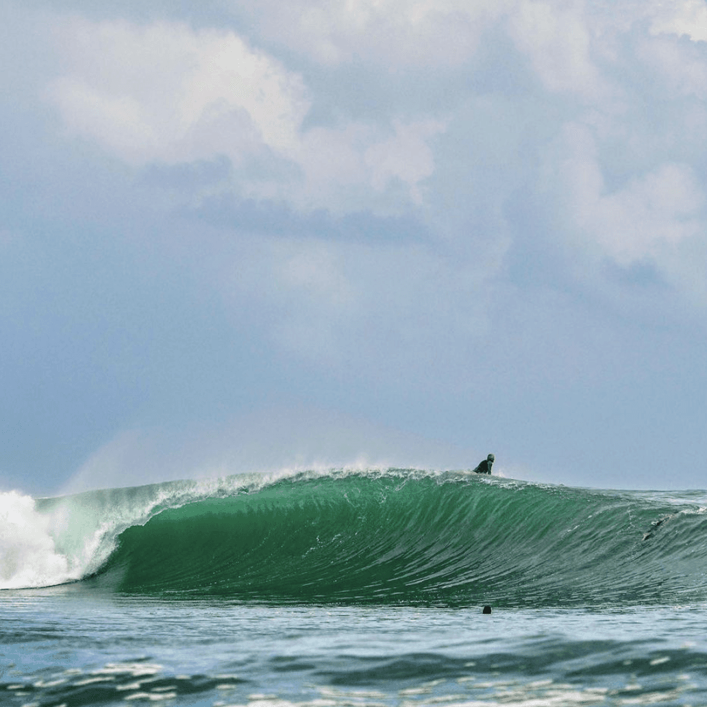 Surfer on a wave – surfboard rental in bocas-del-toro