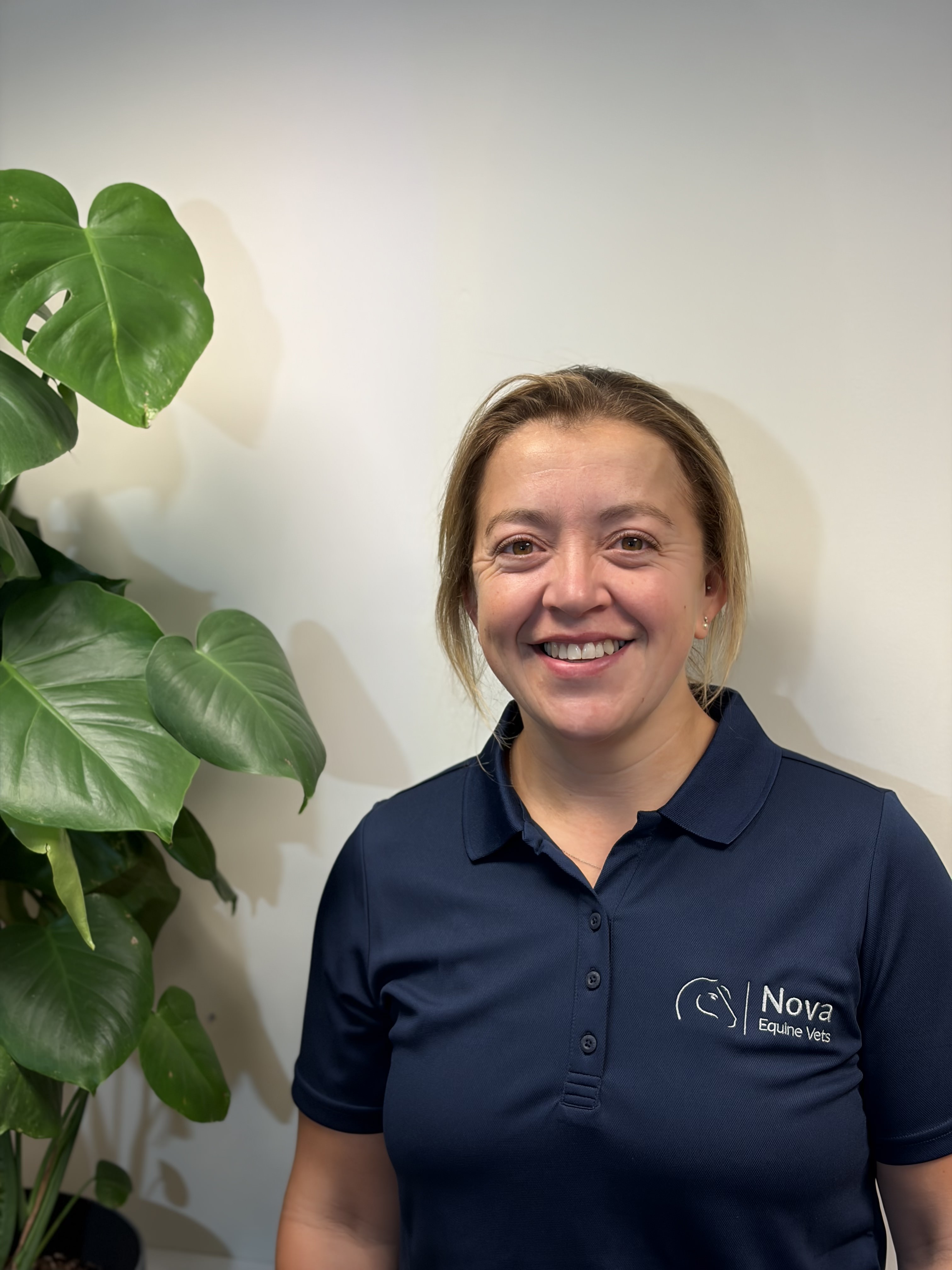 brown horse eating grass during cloudy sky