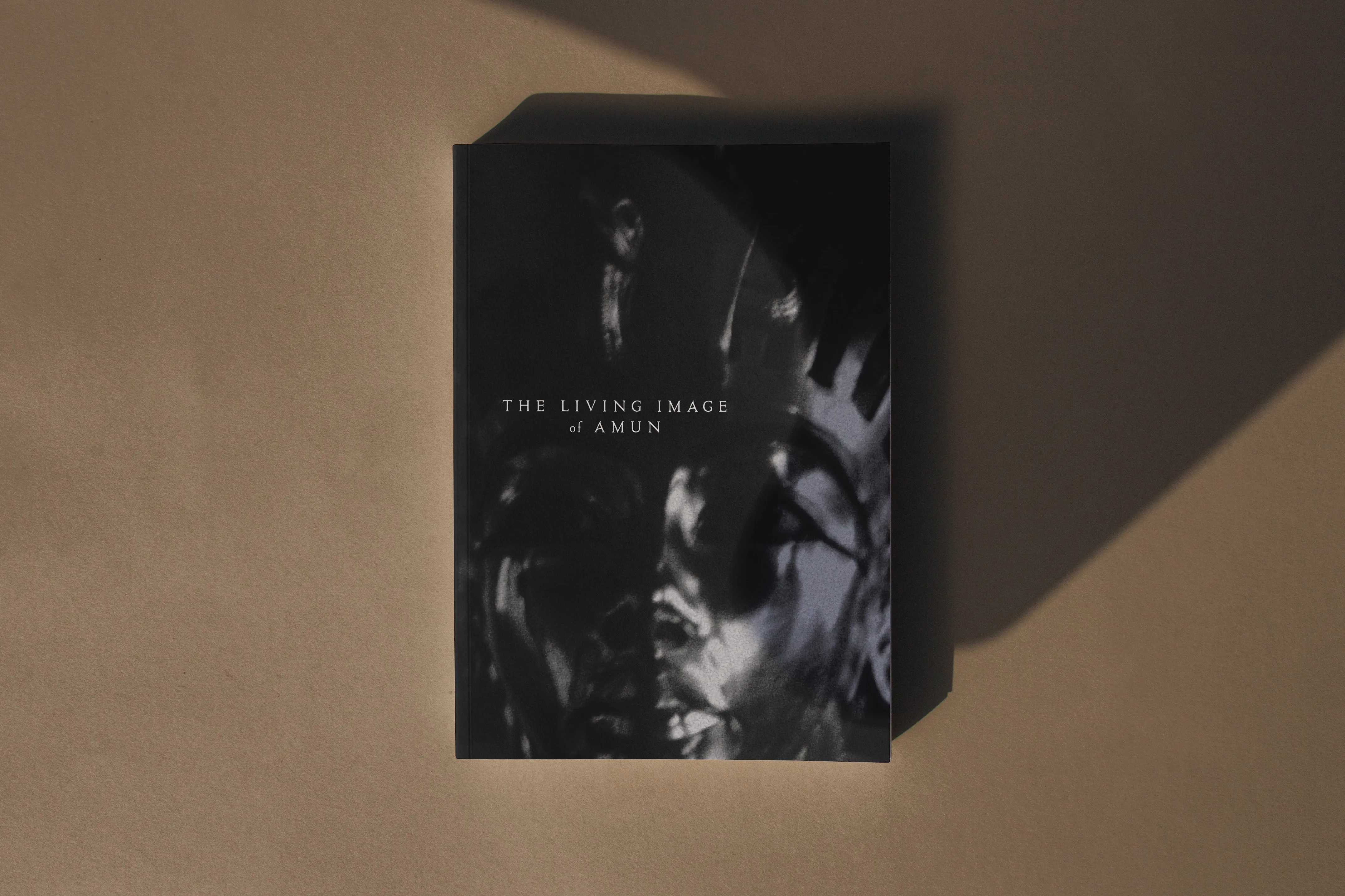 The Living Image of Amun, Cover Design