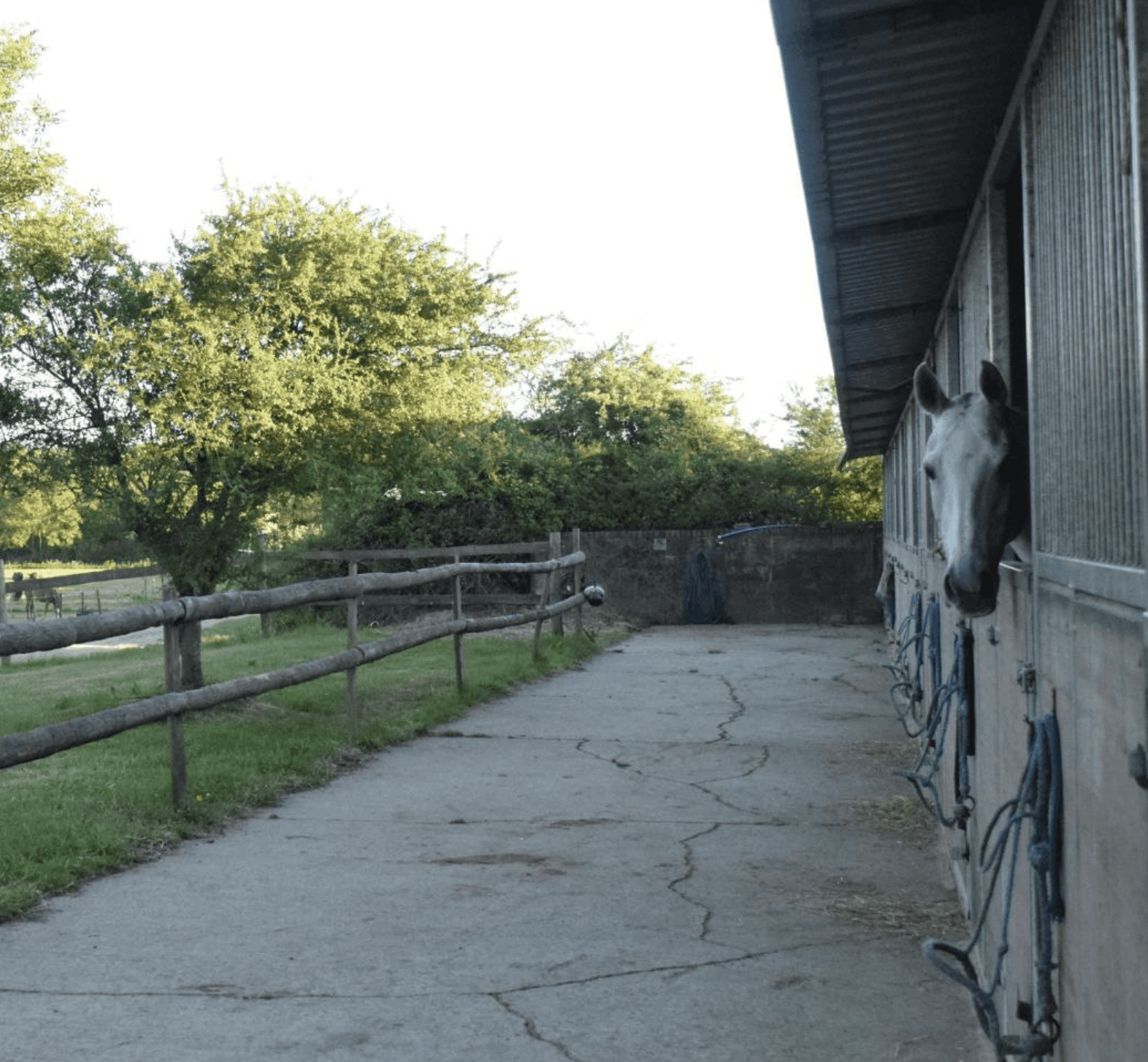 Beautiful landscaped garden with greenery and outdoor design elements.