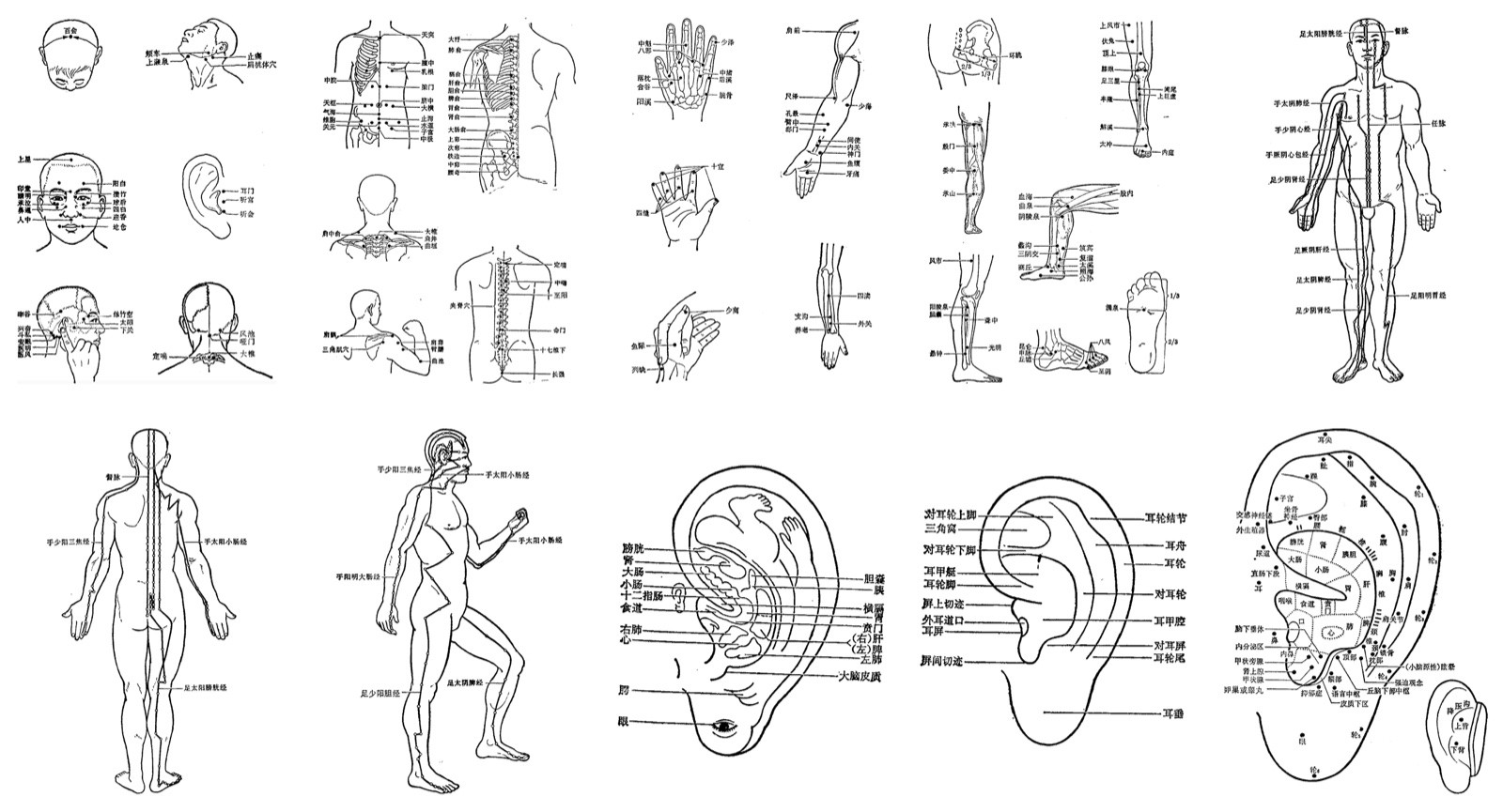 The ten acupuncture diagram images used as the training set for a Krea 2 LoRA