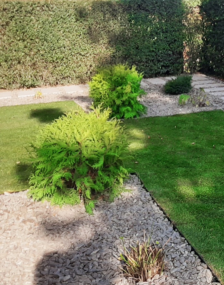 Trawnik z nasadzeniami i wysypanym kamieniem