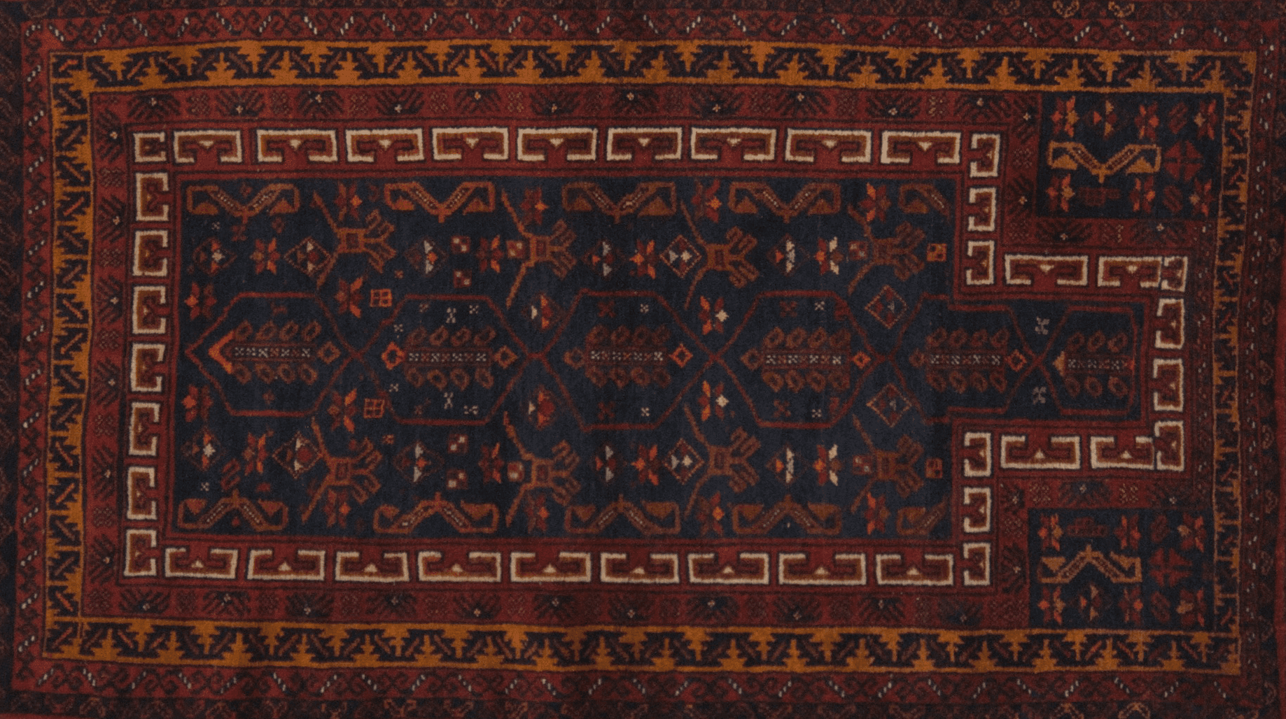 Album Photo Real Mehedi Free Framer Template Photography