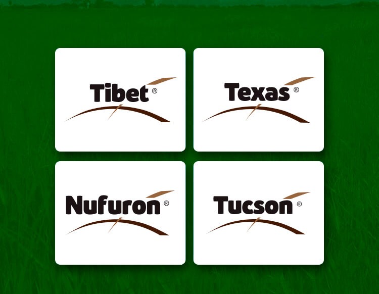 Cercas e Ferramentas - Loja do Campo