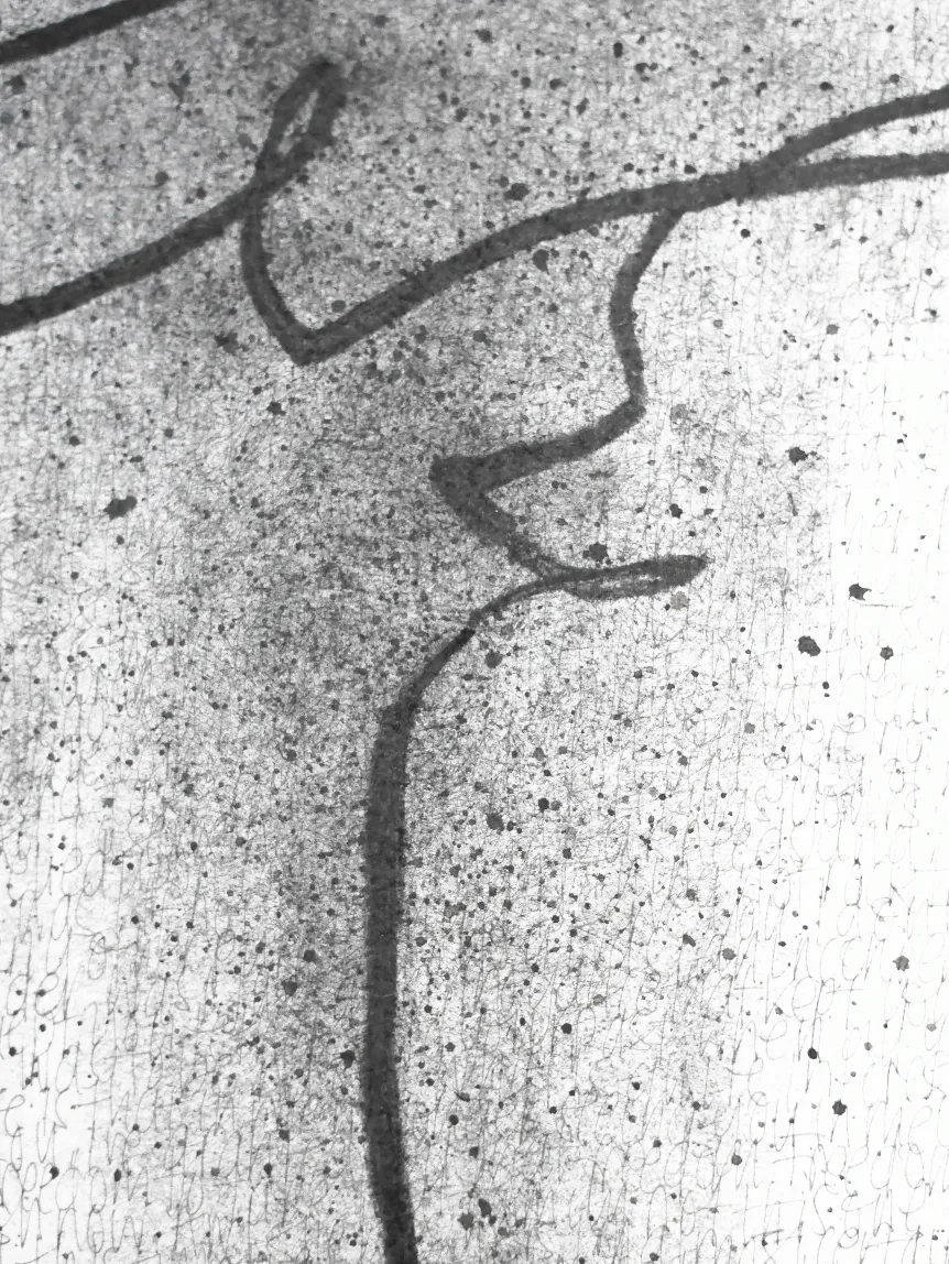 Compressed image