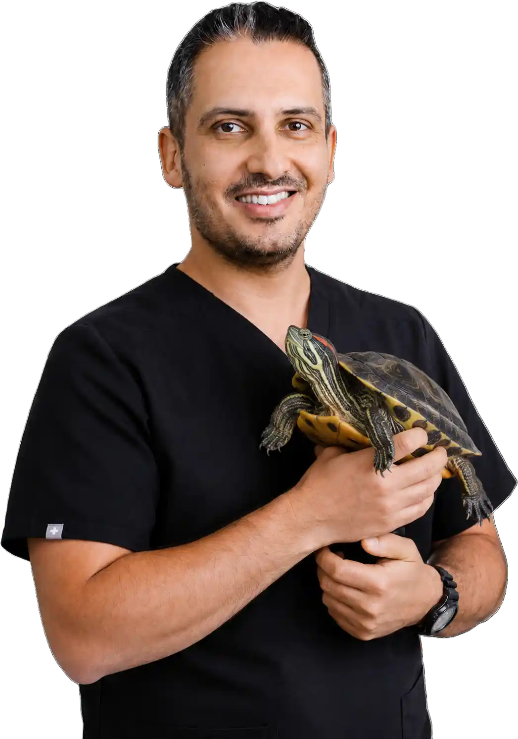 Dr. J. Yeganeh, Noble Veterinary Clinics reptile and exotic vet in Dubai, holding a pet turtle