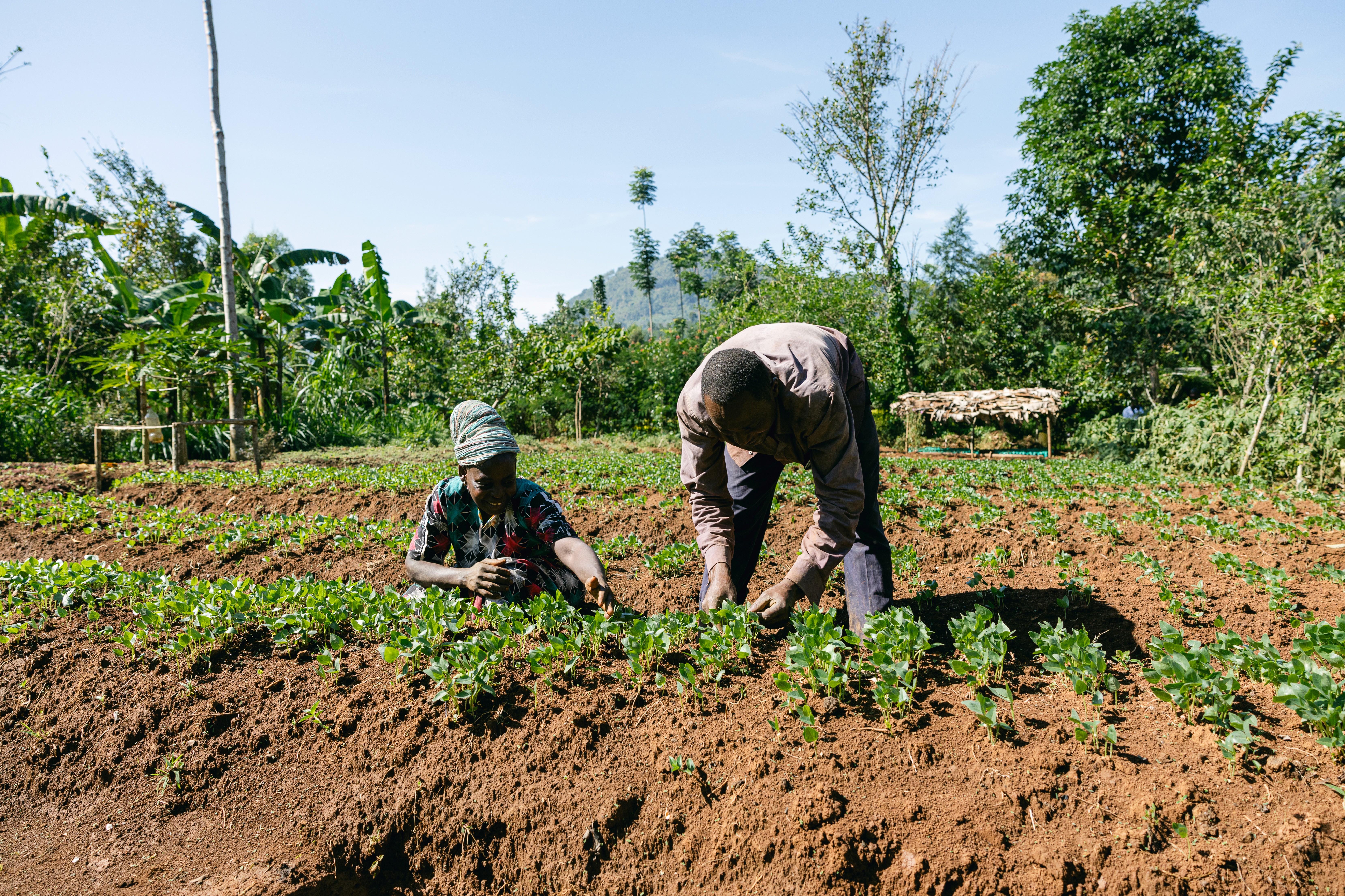 people sitting on grass field during daytime