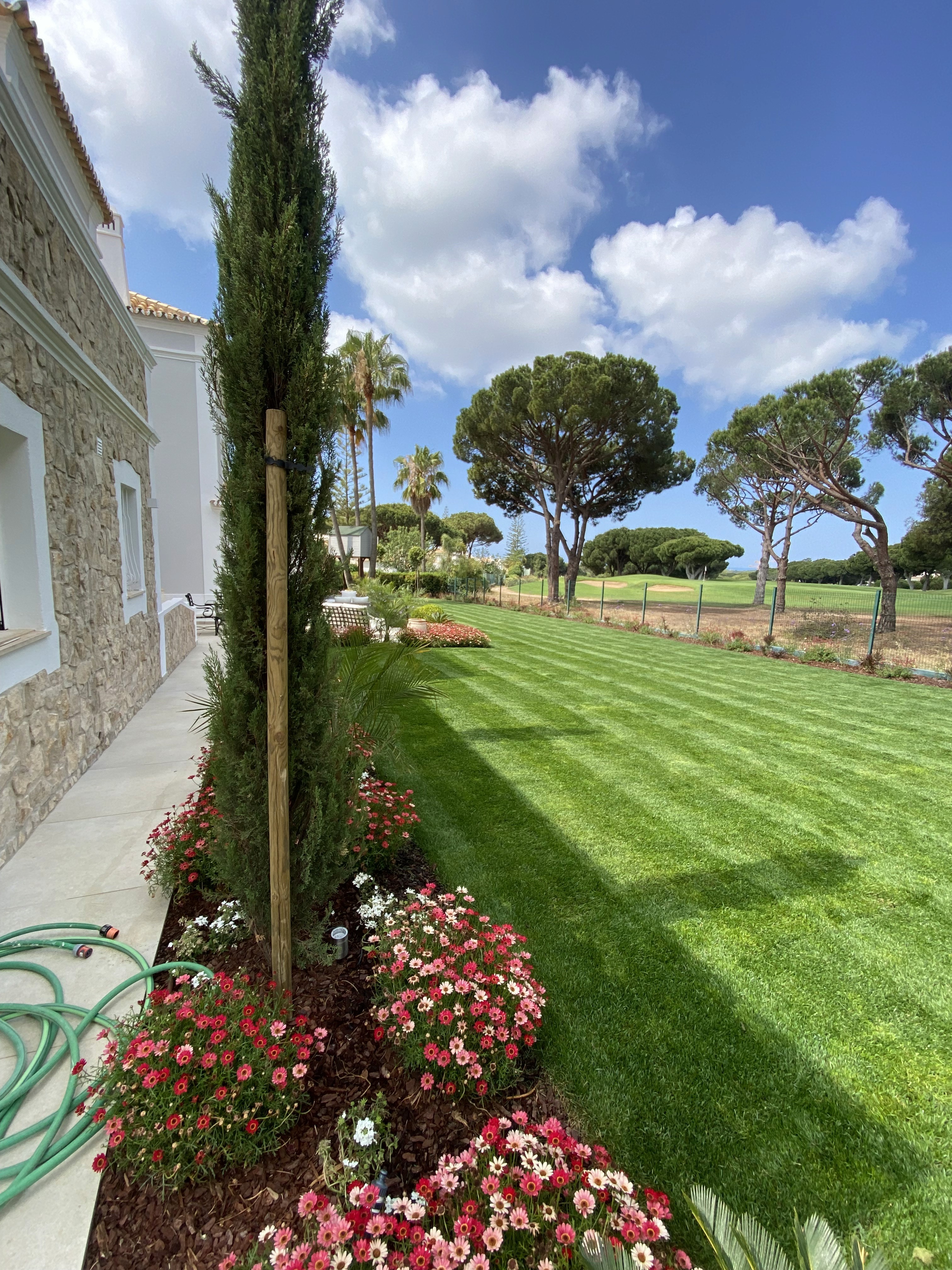 Garden view