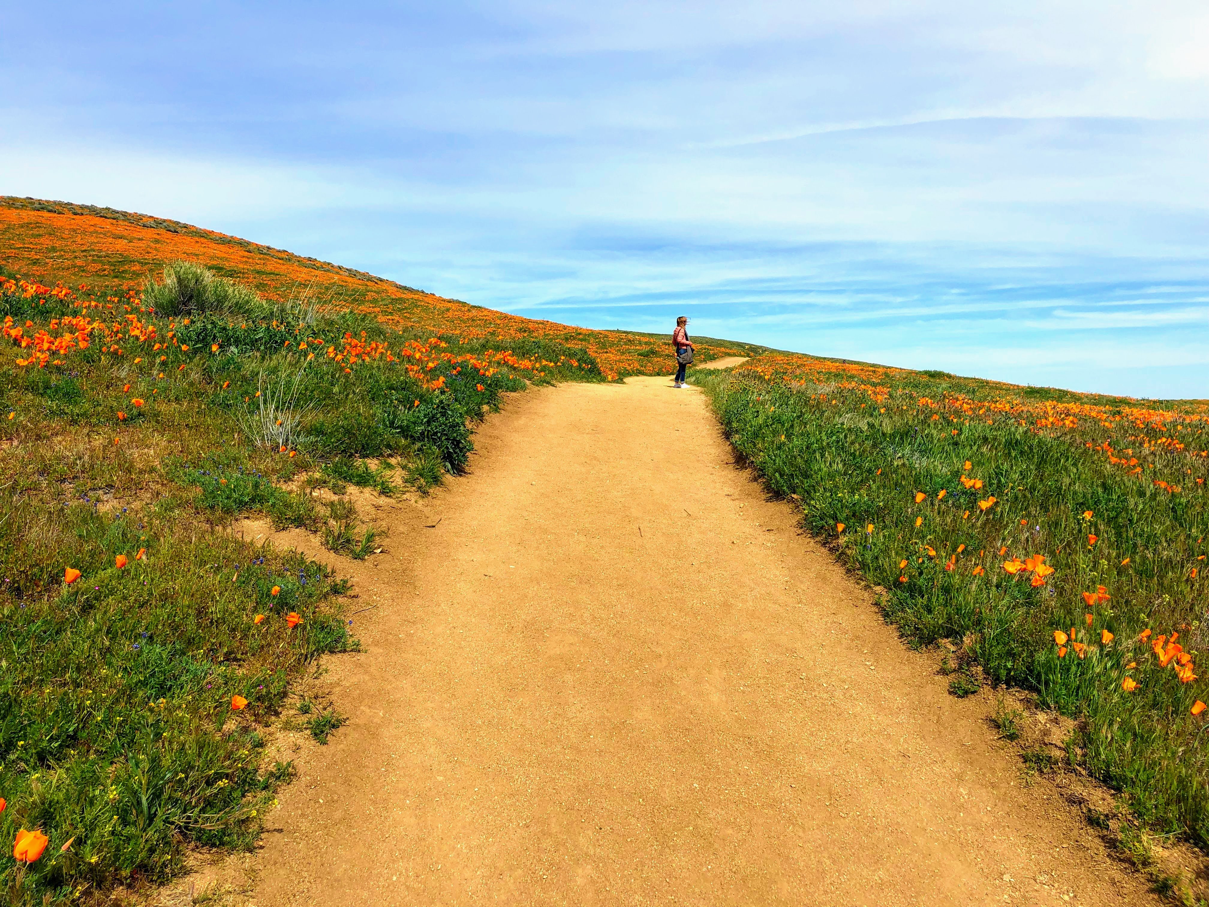 A model dressed in a mustard yellow blazer and cream trousers poses confidently against a minimalist background with sky blue and beige tones, exuding a modern and chic fashion aesthetic.