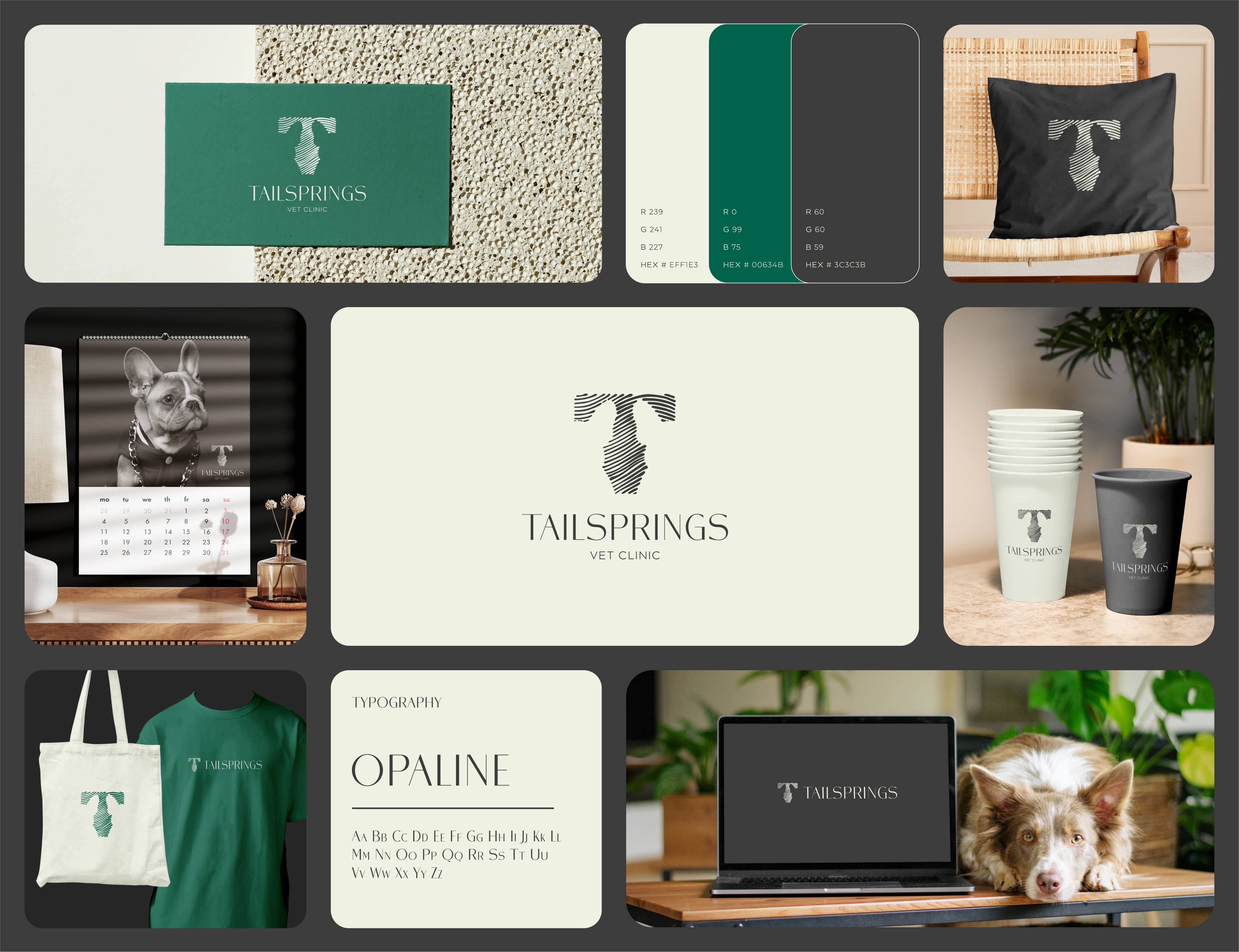 logo design brand identity branding vet clinic pet service