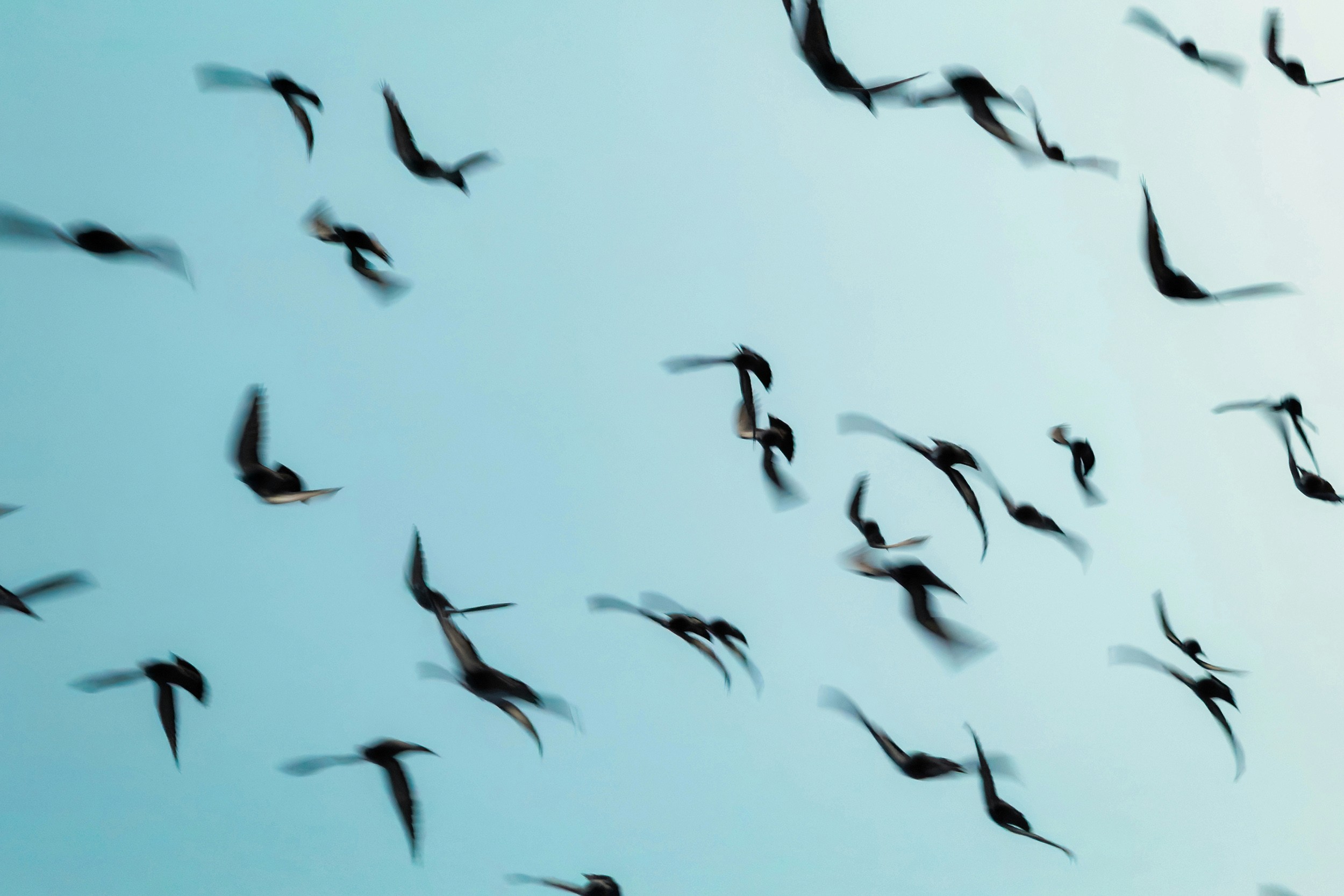 Kolos Strategische communicatie en branding hero image