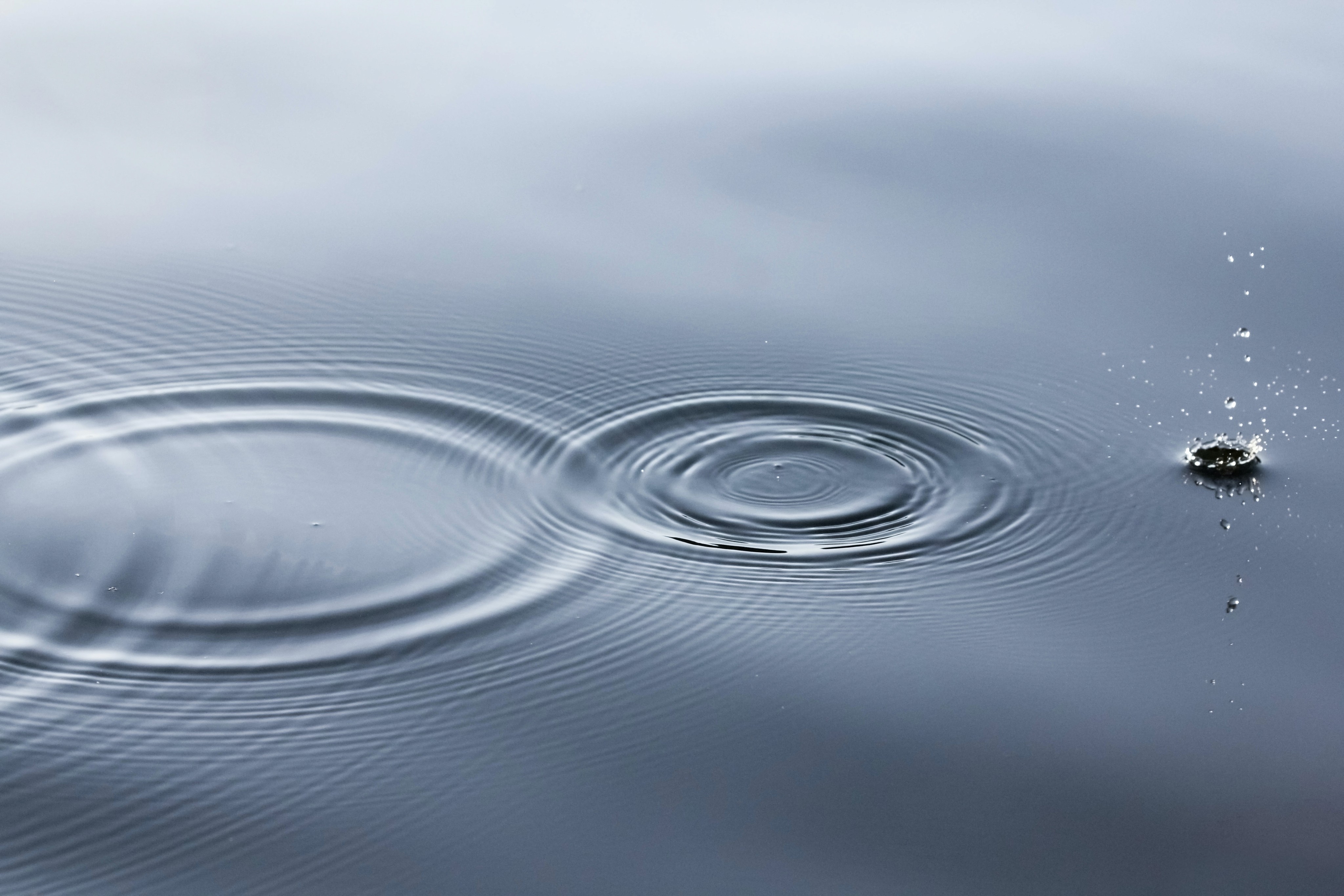 Water ripples on a still body of water