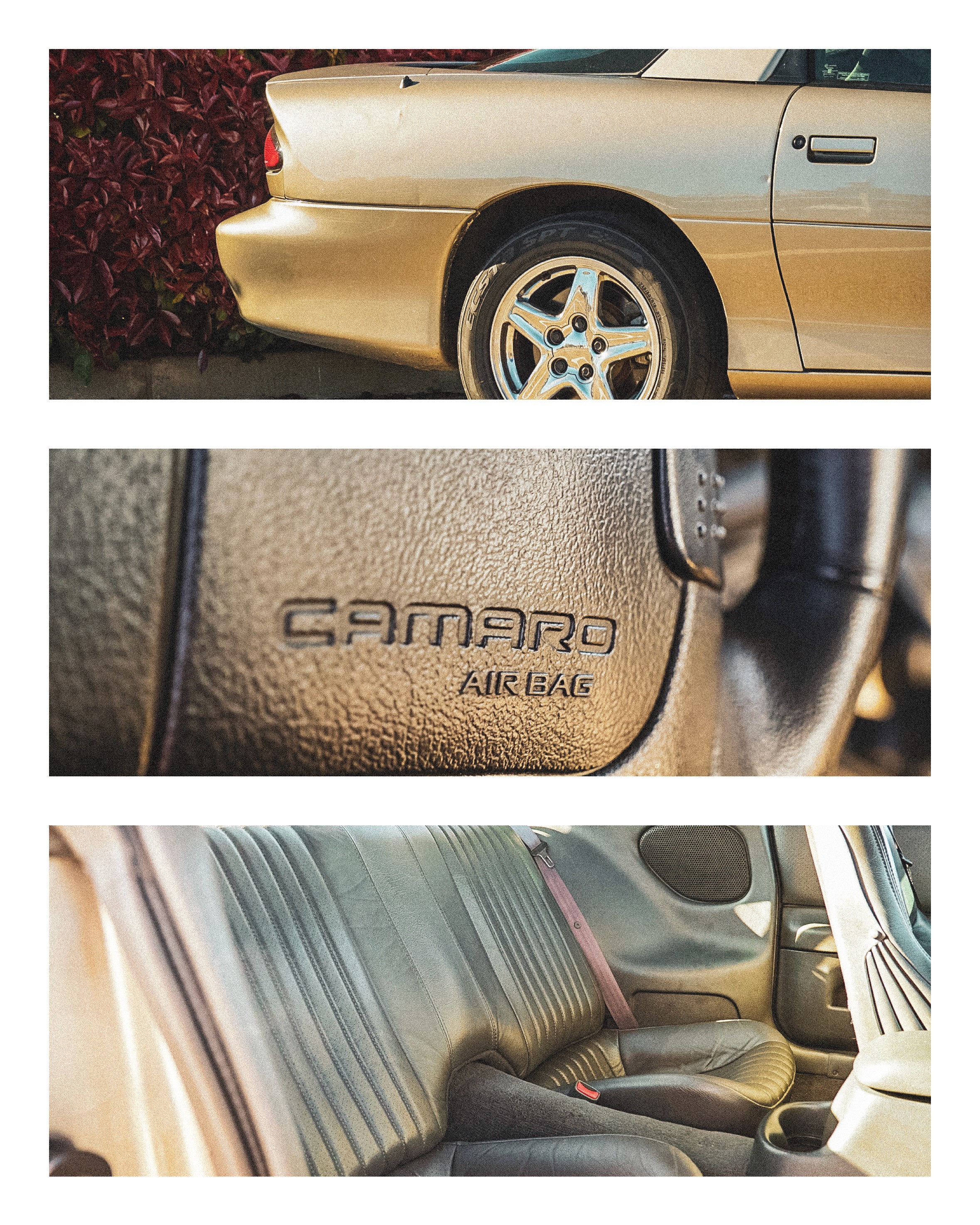 Large Project Gallery Image #1