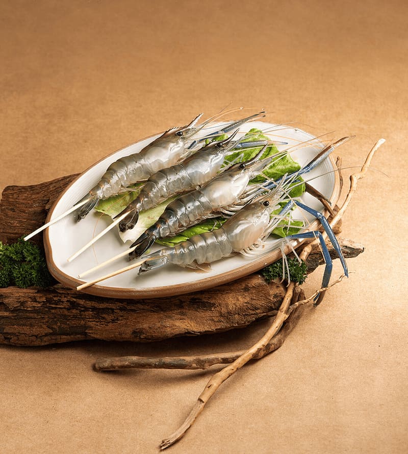 Prawn skewer plating restaurant photography by Lefty Studio