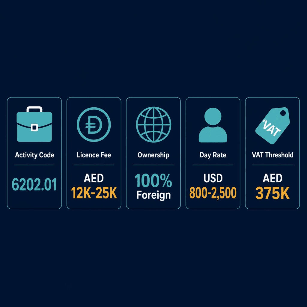 Infographic: Apply for a IT Systems Consultancy Business License in Dubai