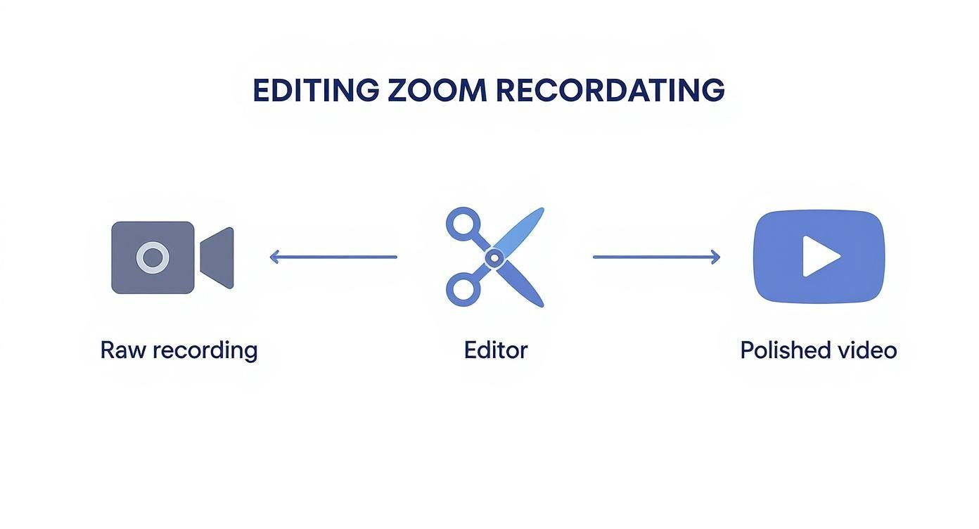 Infographic about edit zoom recording