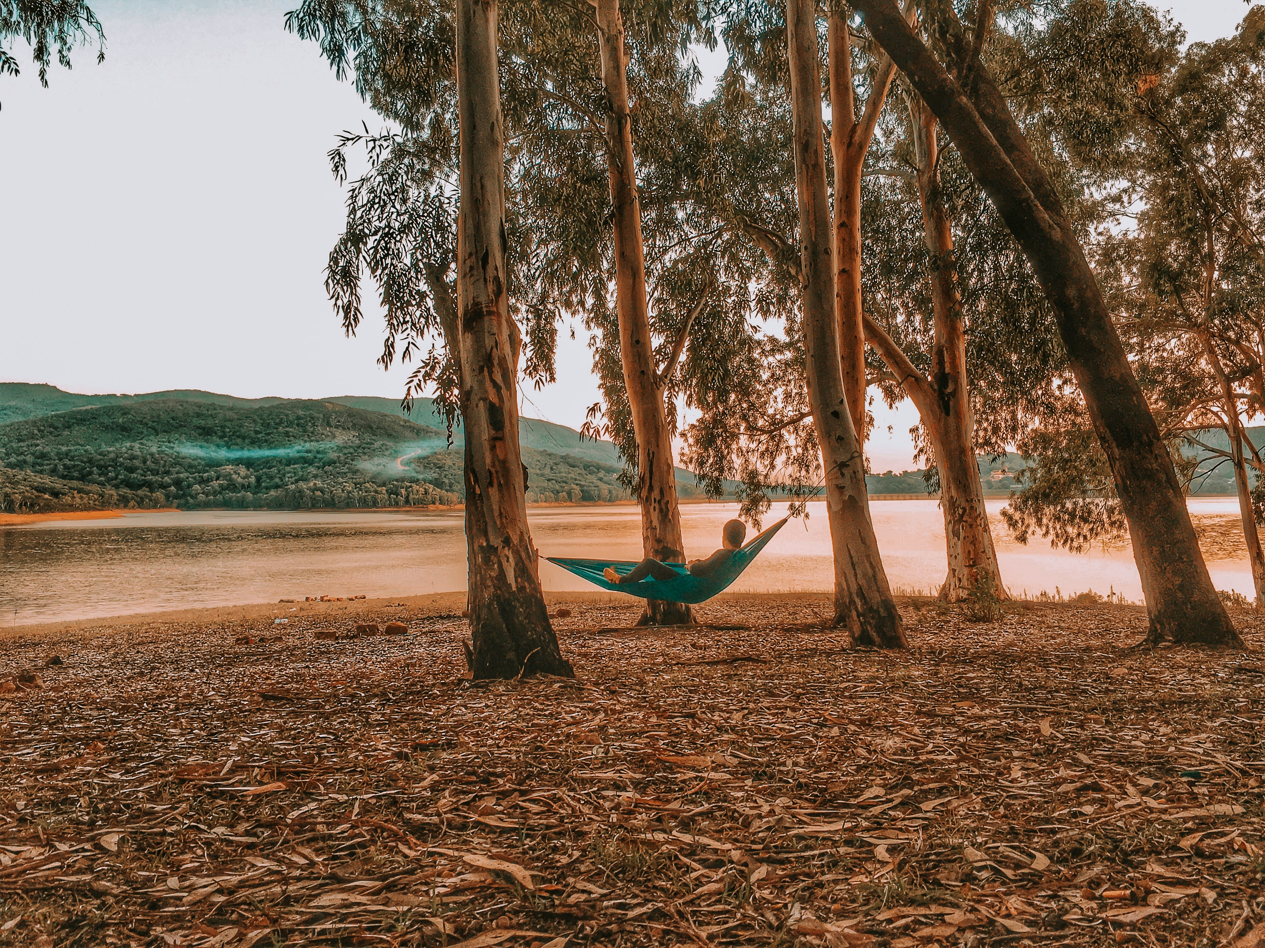 person lying on blue hammock