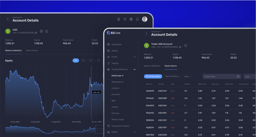 B2Core accurate account detail overview