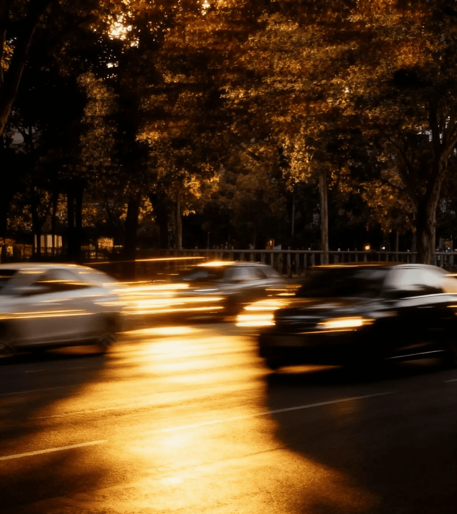 Sunset Urban Motion