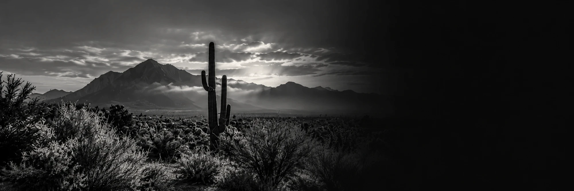 Saguaro cactus and desert mountains in Arizona at sunrise
