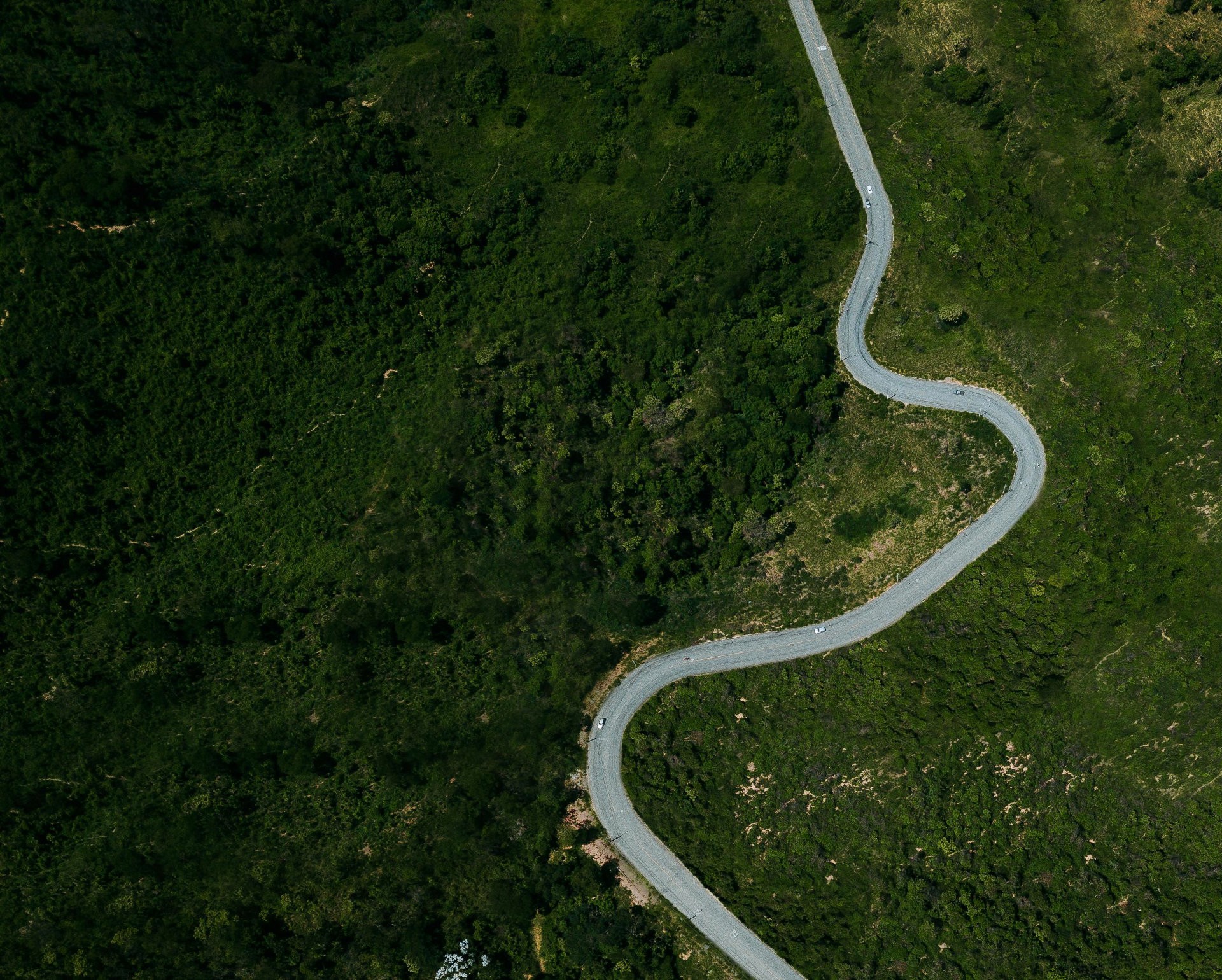 An aerial shot of a winding road through a heavily forested area