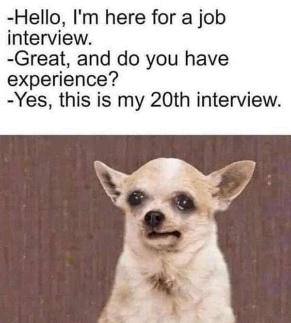 Lighthearted meme capturing the relatable chaos of virtual and in-person job interviews.