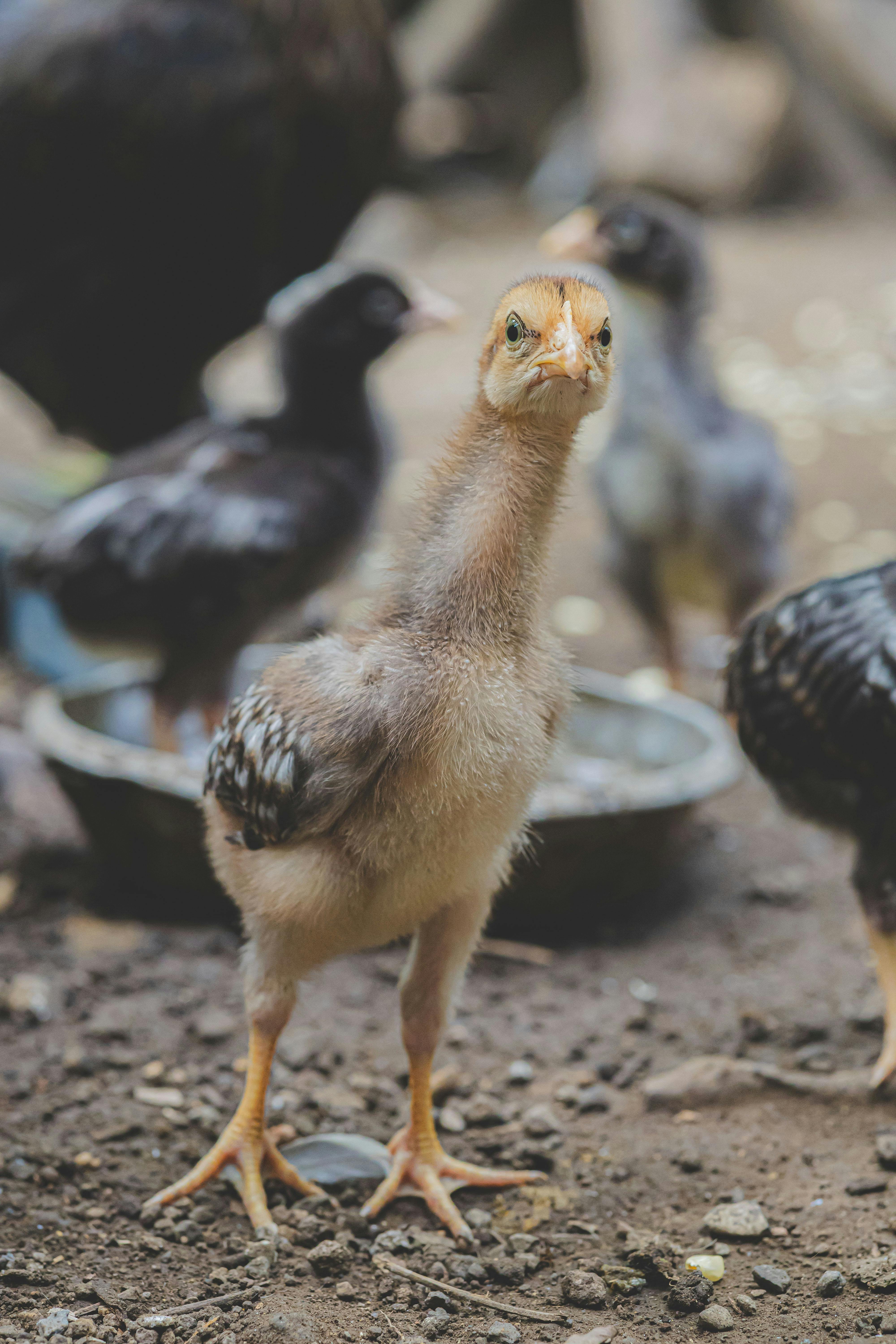 A person with glasses and a beard smiles warmly while working on a laptop at a desk. The setting is casual and relaxed, with a neutral background