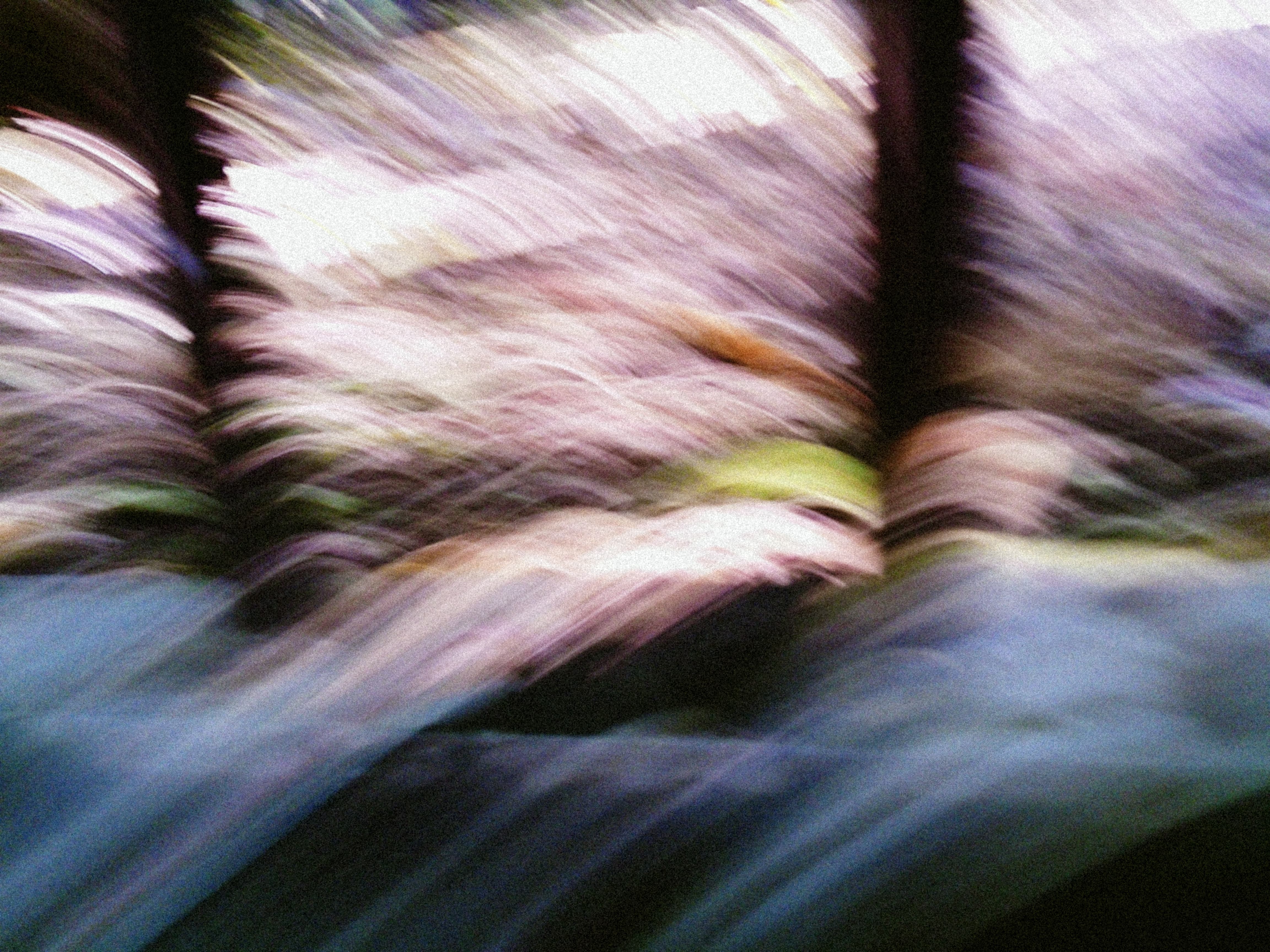 Motion blur streaks across woodland path creating horizontal bands of purple, green and blue tones