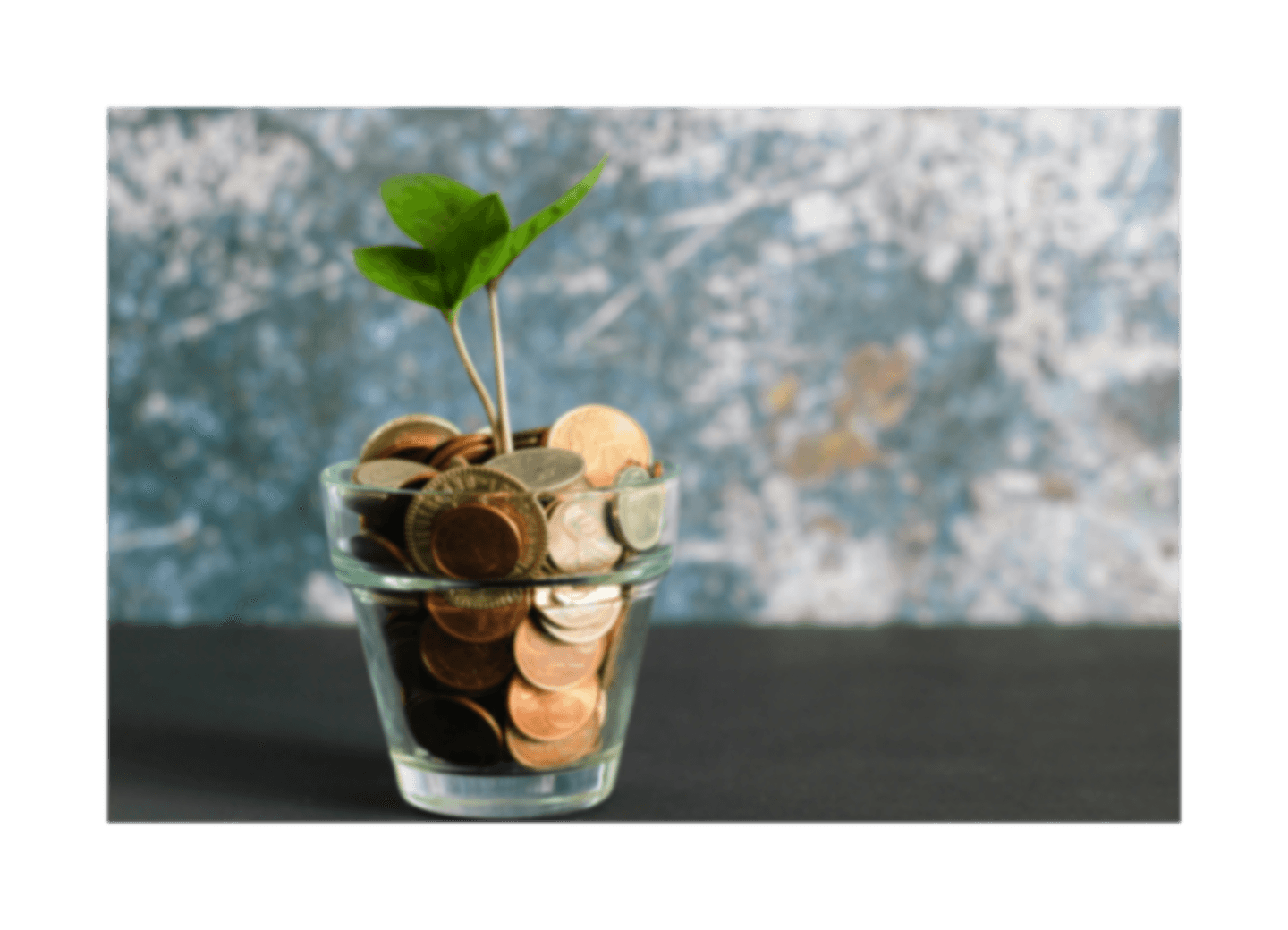 green plant in clear glass vase
