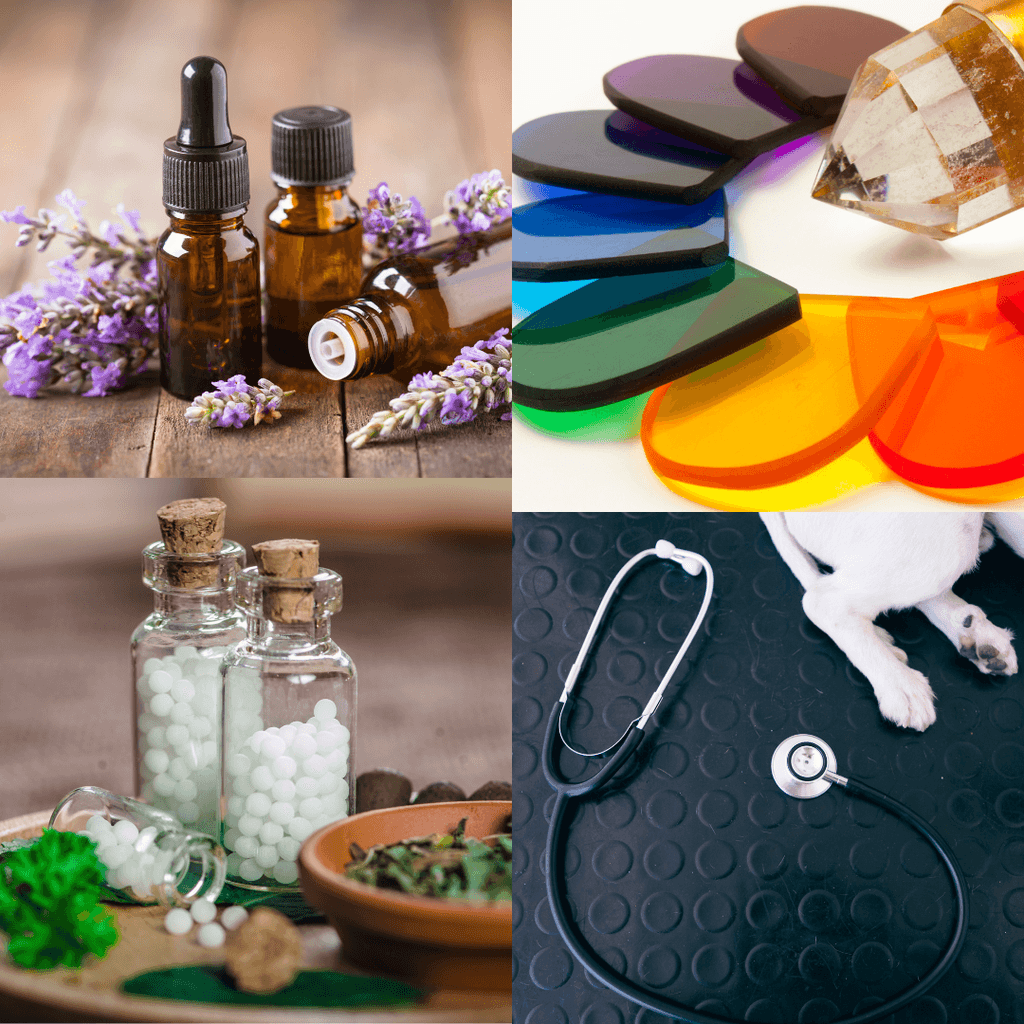 Dentist with his Patient