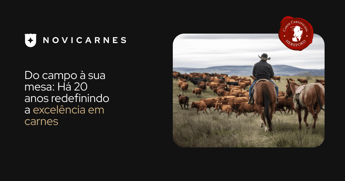 Novicarnes