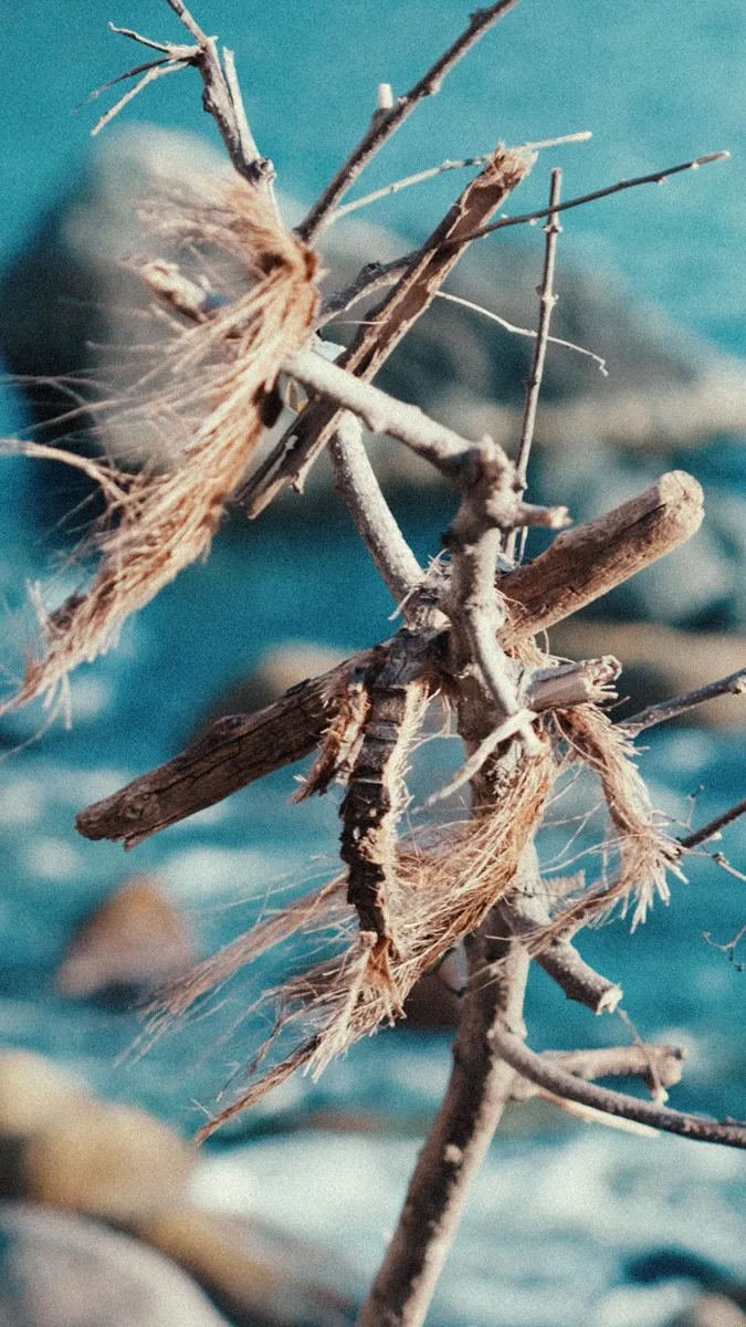Weathered driftwood and frayed natural fibers entangled against a turquoise Caribbean sea — raw textures and organic forms that inspire every handcrafted piece. Jewelry with a soul, crafted by hand — Manos de Oro Saint Barth.