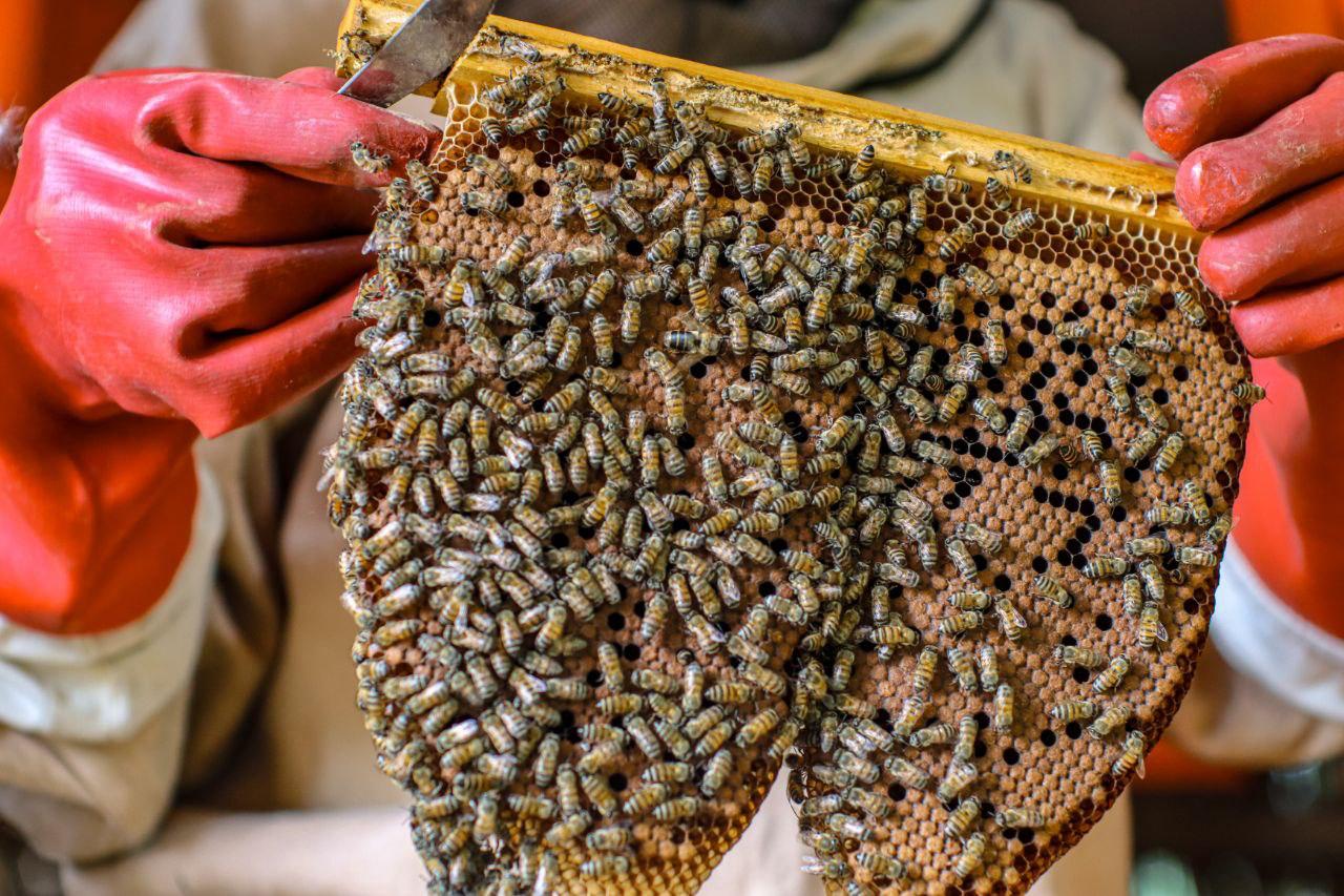 person writing on a piece of paper 