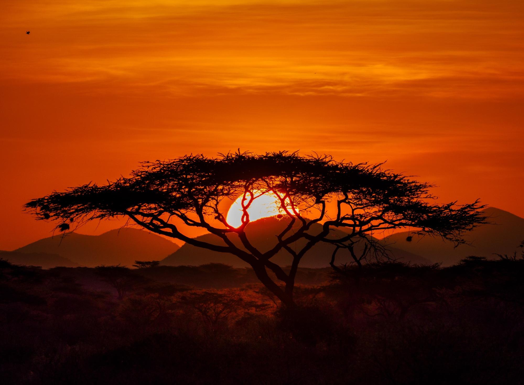 Magical orange sunset in Kenya 