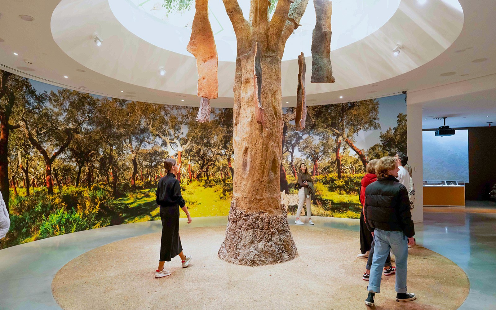 Látogatók felfedezik a parafa fa kiállítást a Planet Corkon.