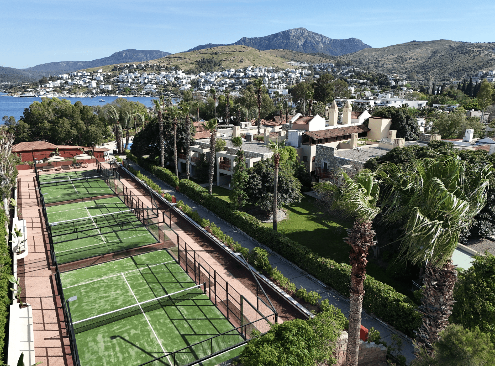 Tennis Player