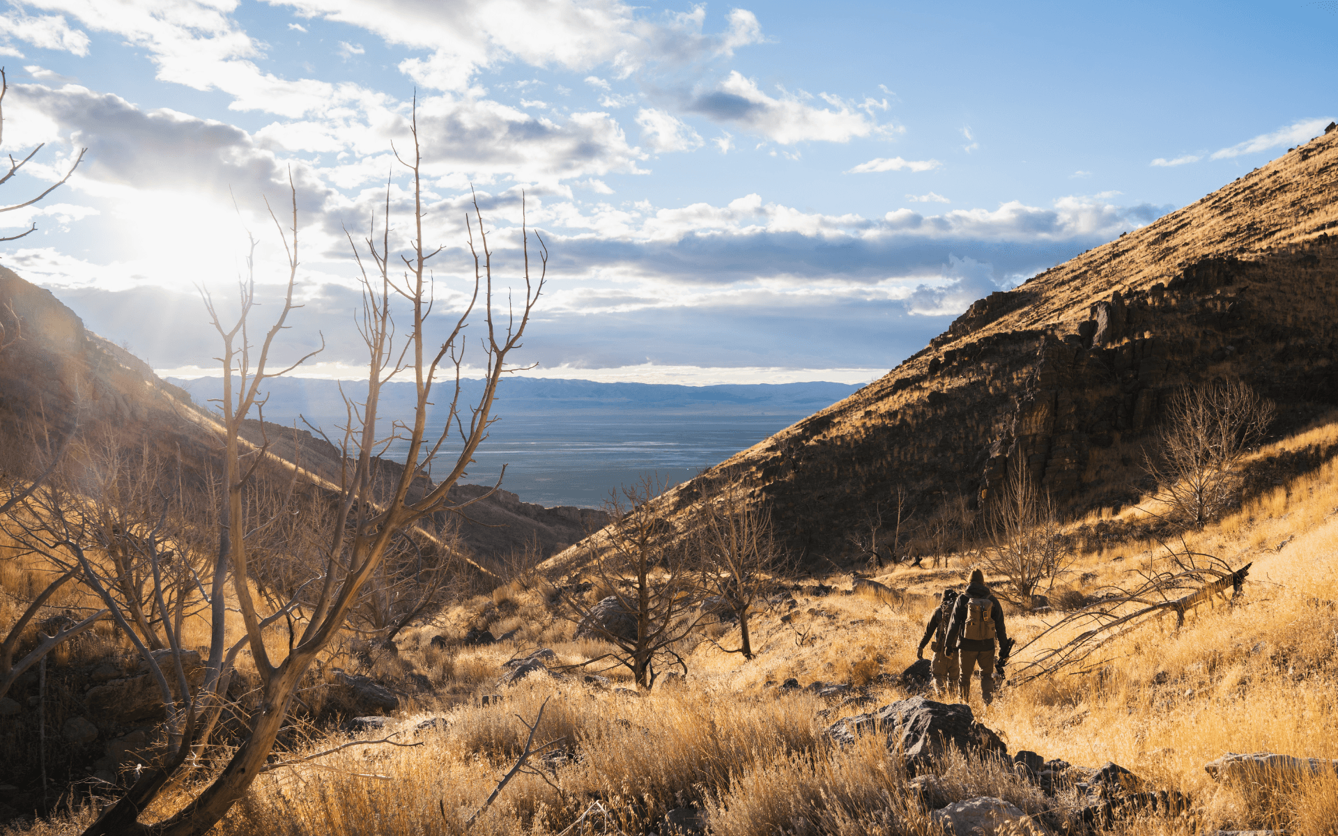 big horn sheep hunters in Utah