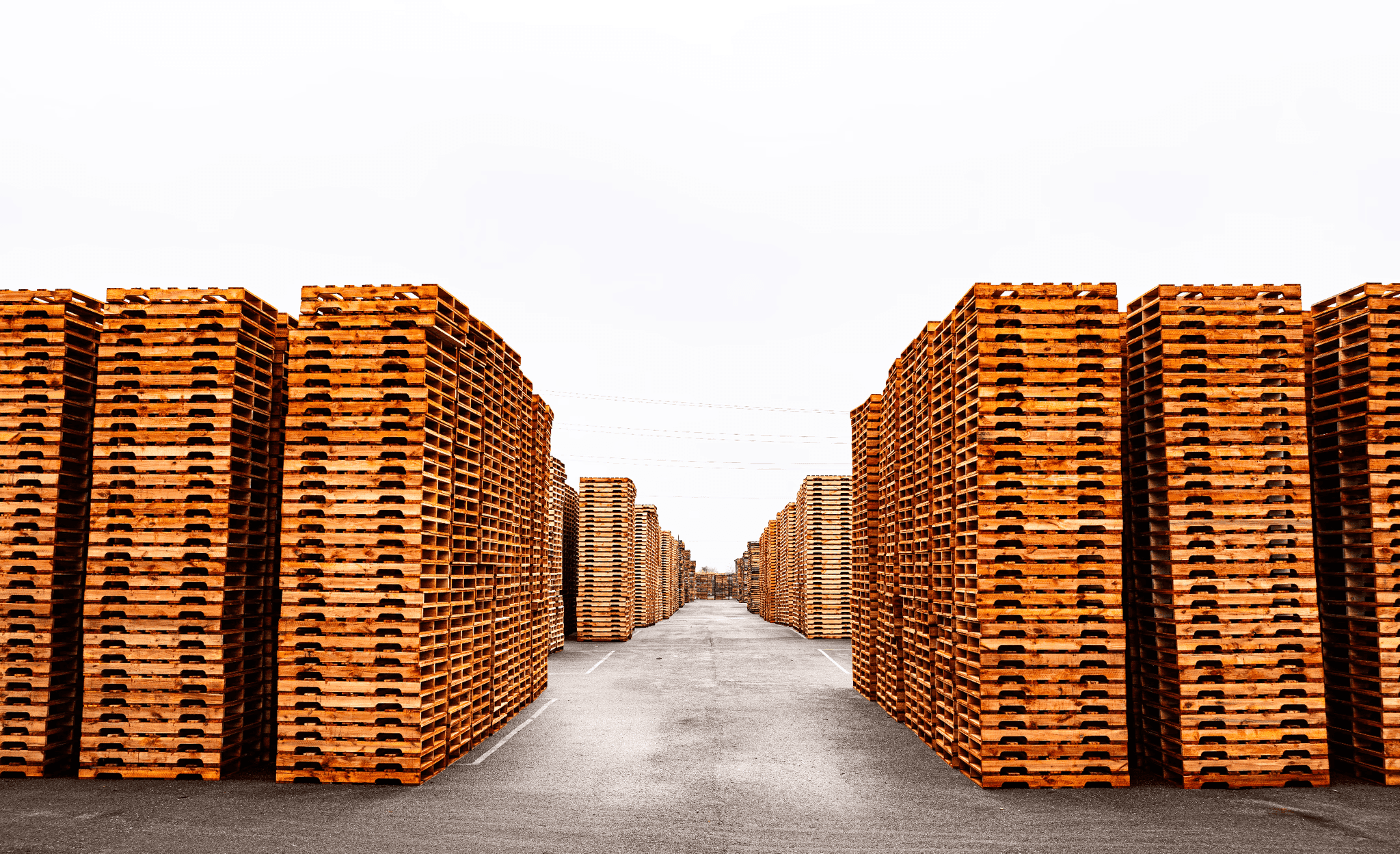 Sustainable Pallet Supplier Since 2000 | AllGoodPallets 5